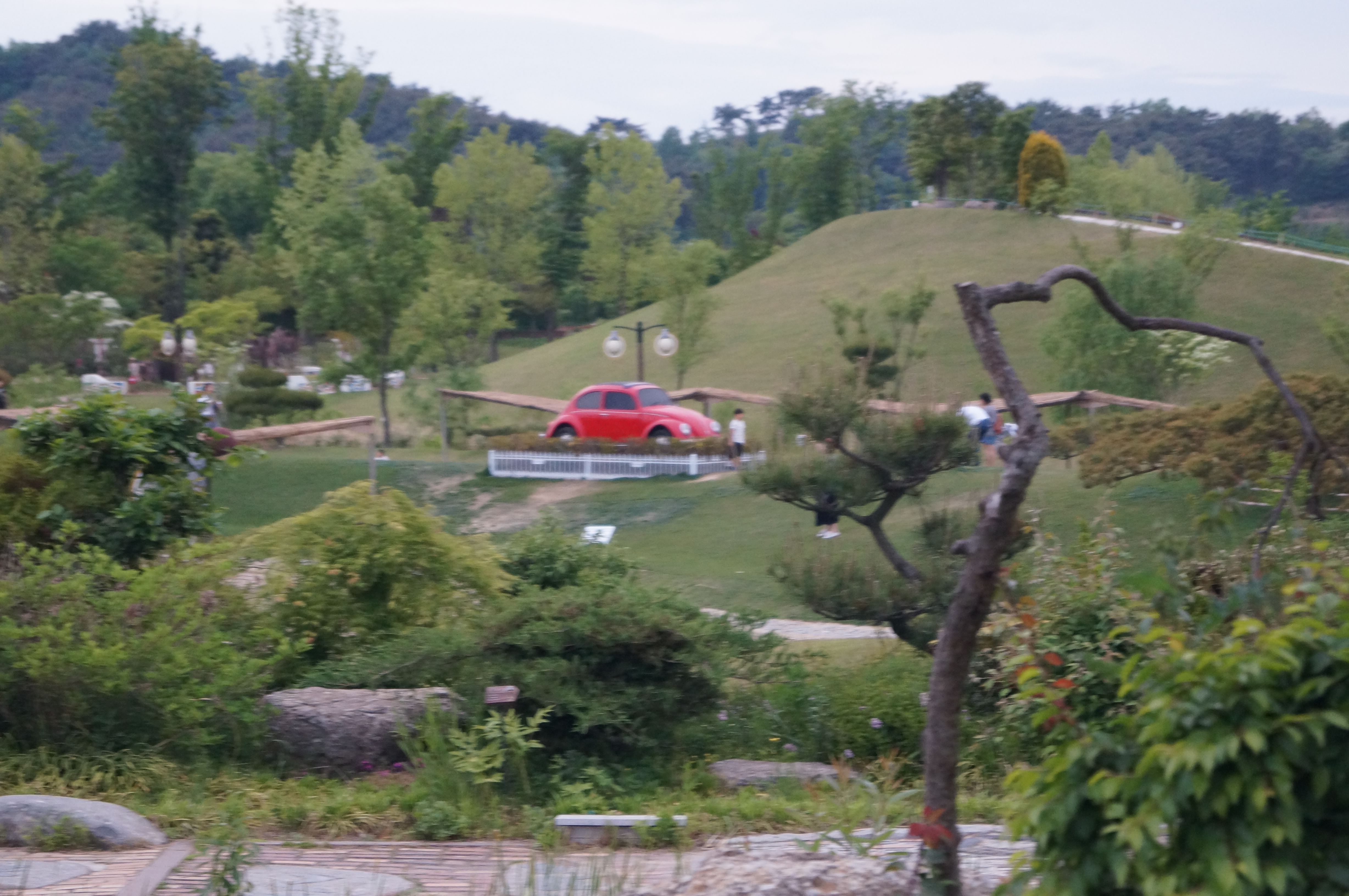 DSC03633.JPG