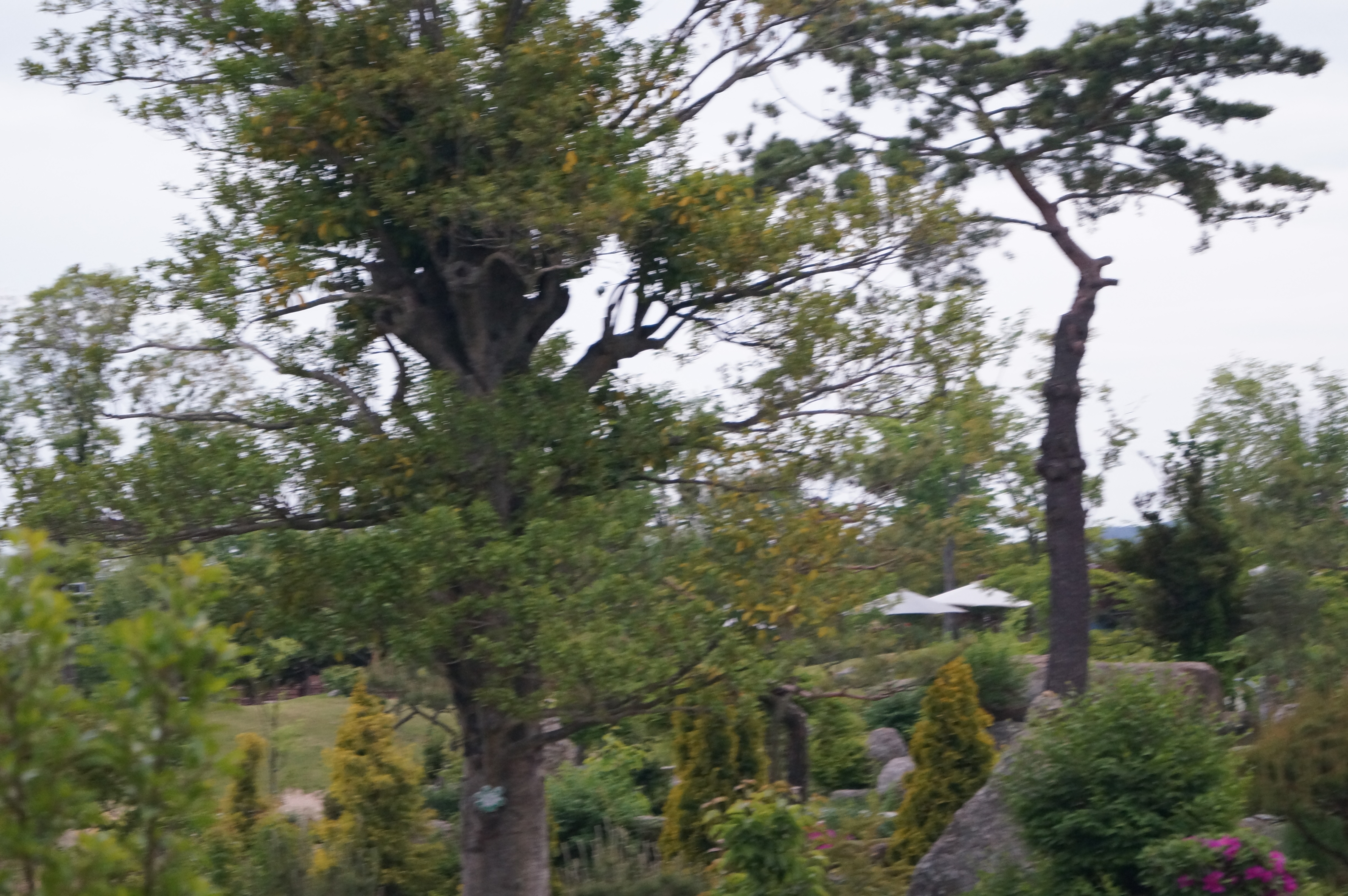 DSC03636.JPG