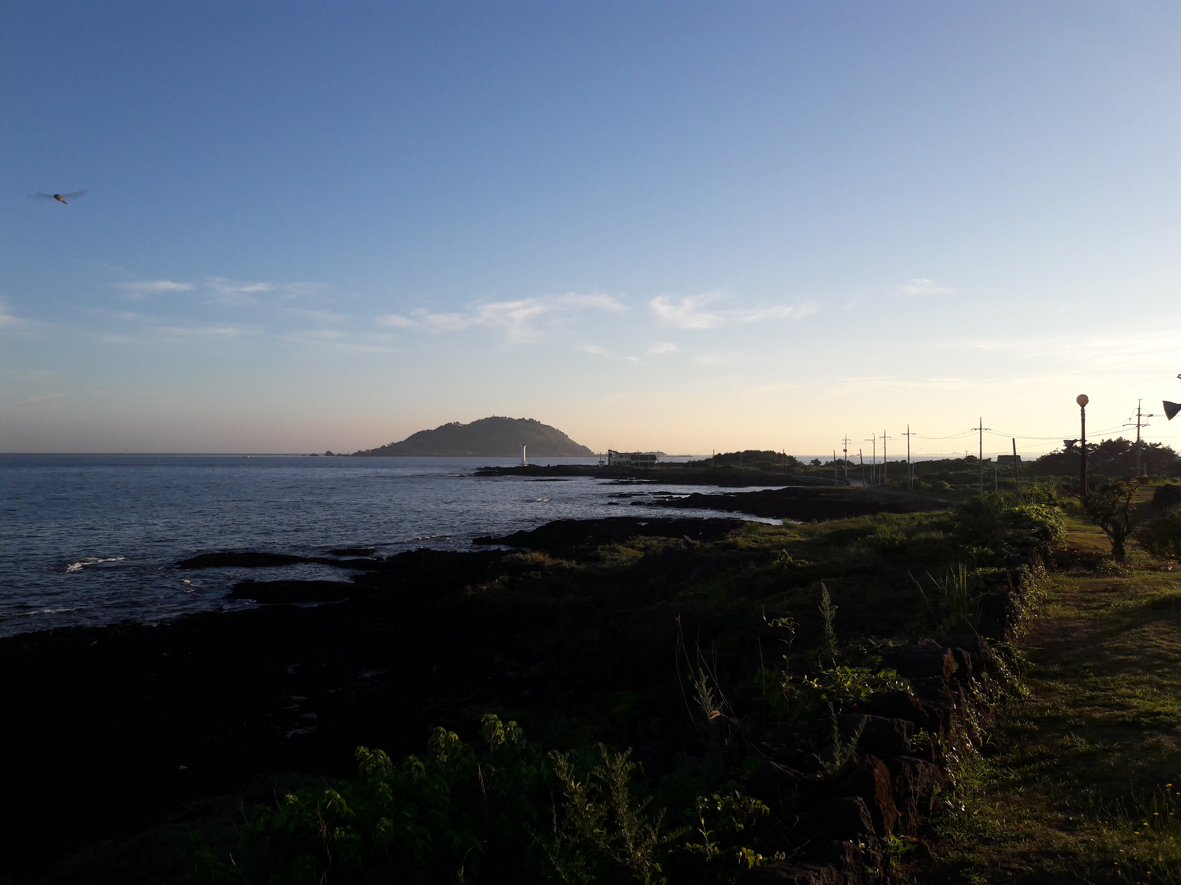 20170803_062327.jpg