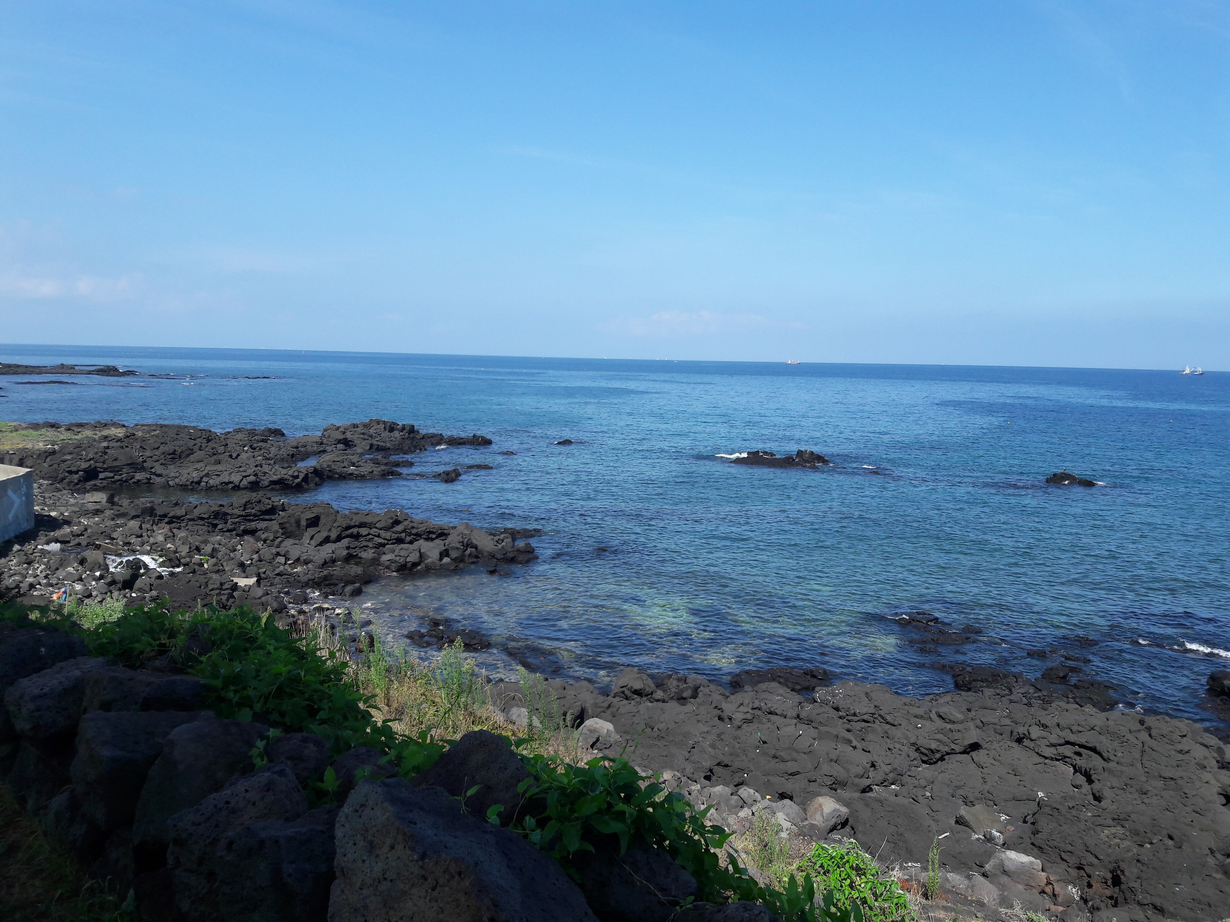 20170803_095241.jpg