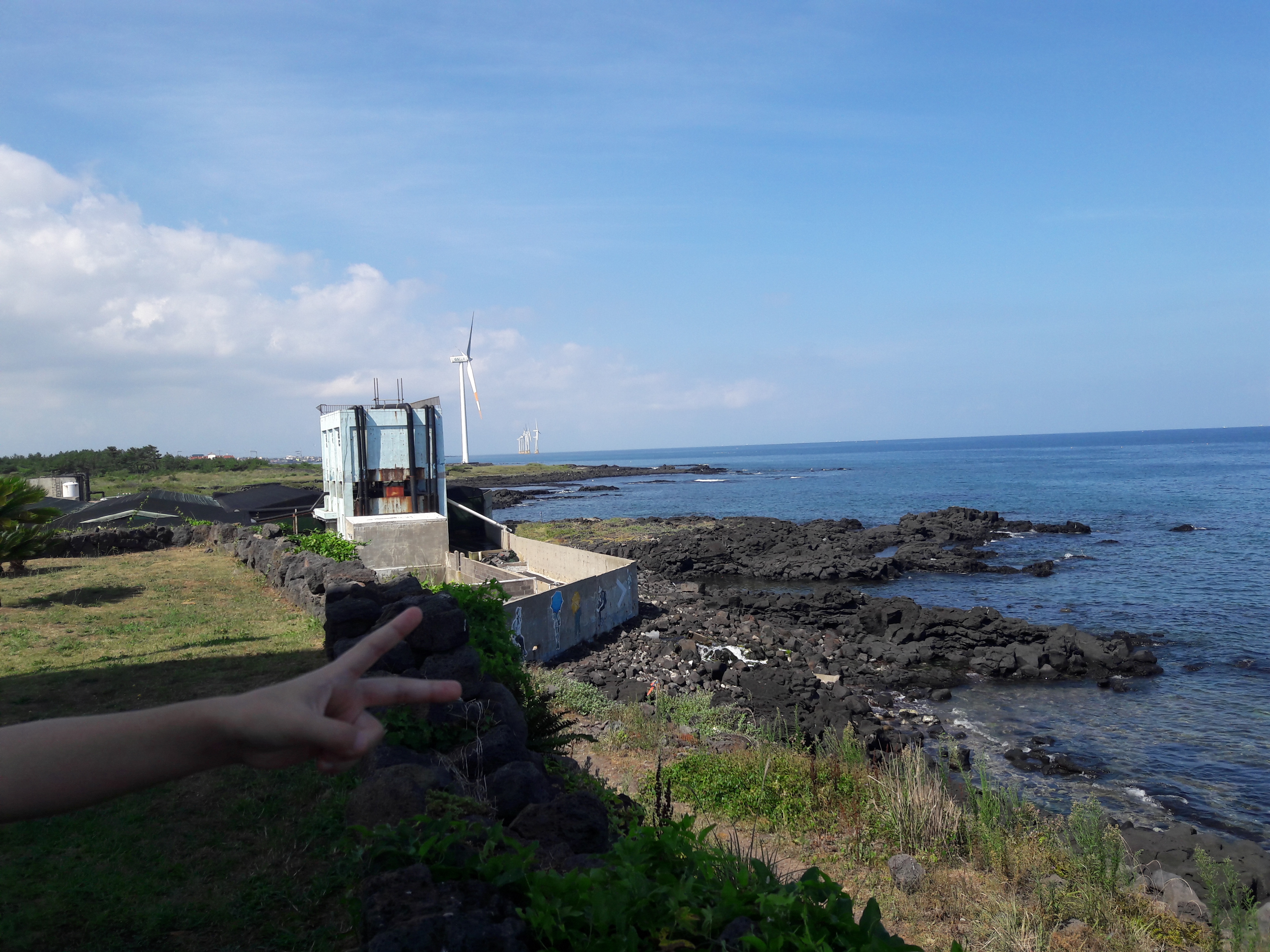 20170803_095540.jpg