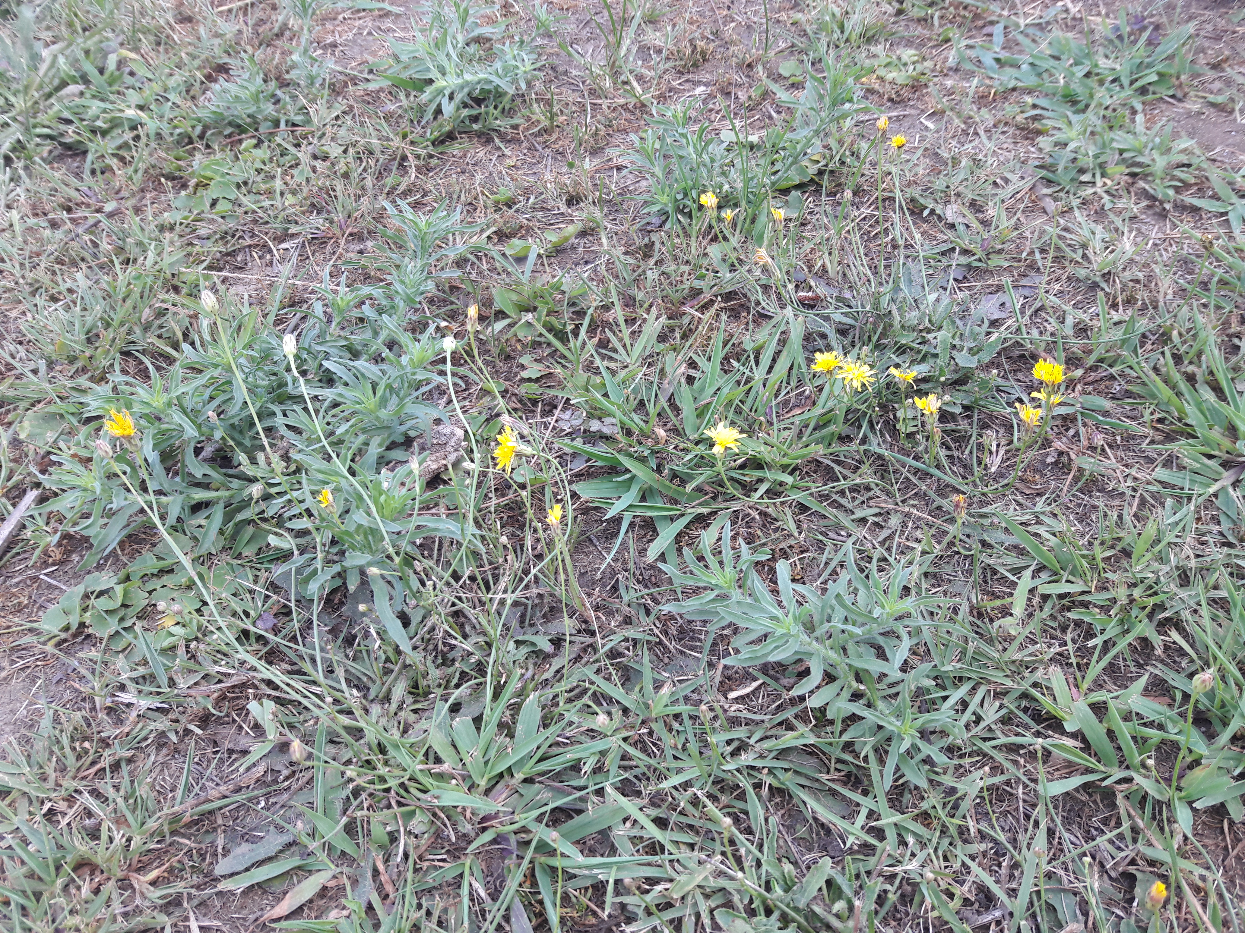20170803_095849.jpg