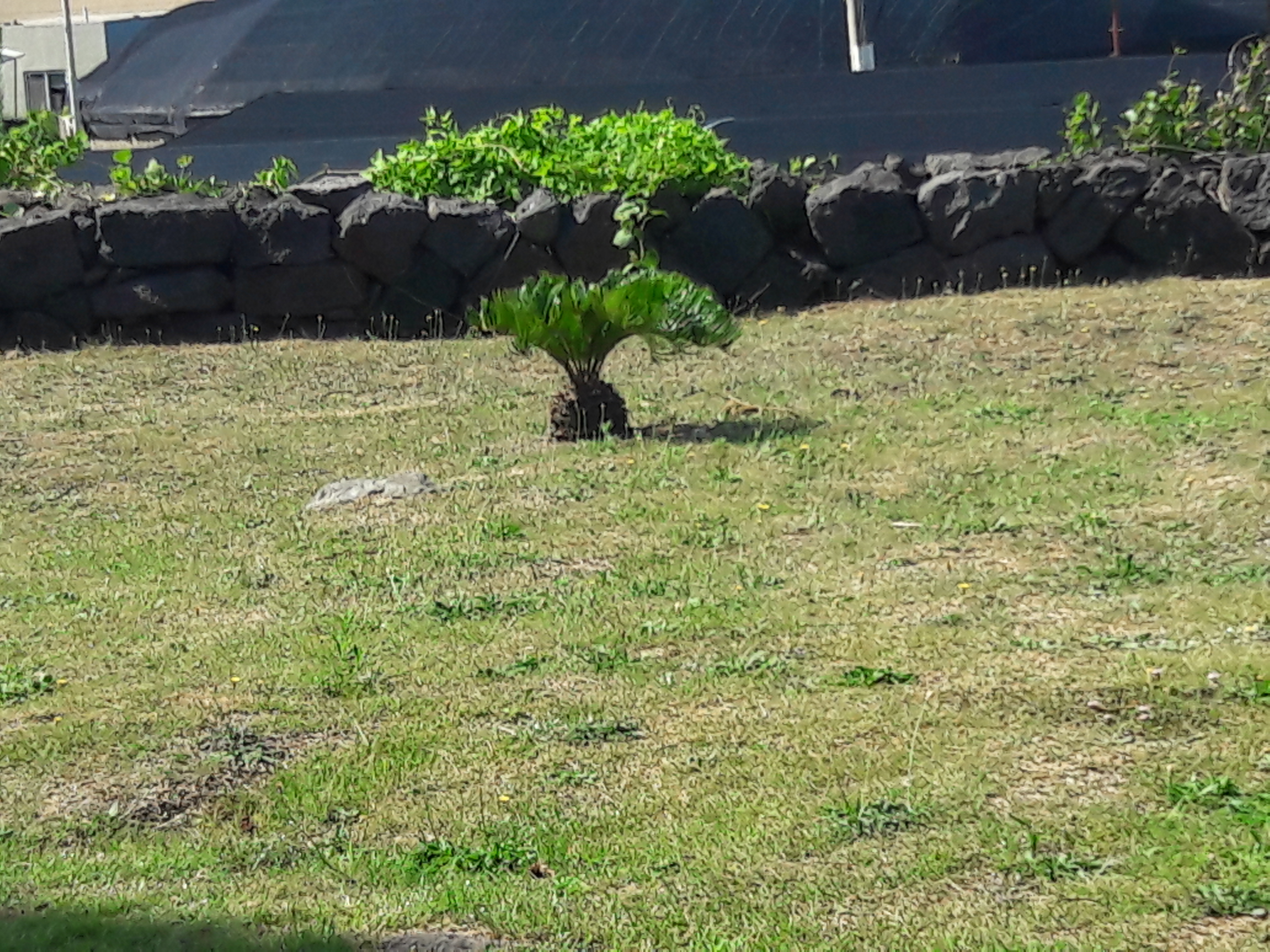 20170803_095939.jpg