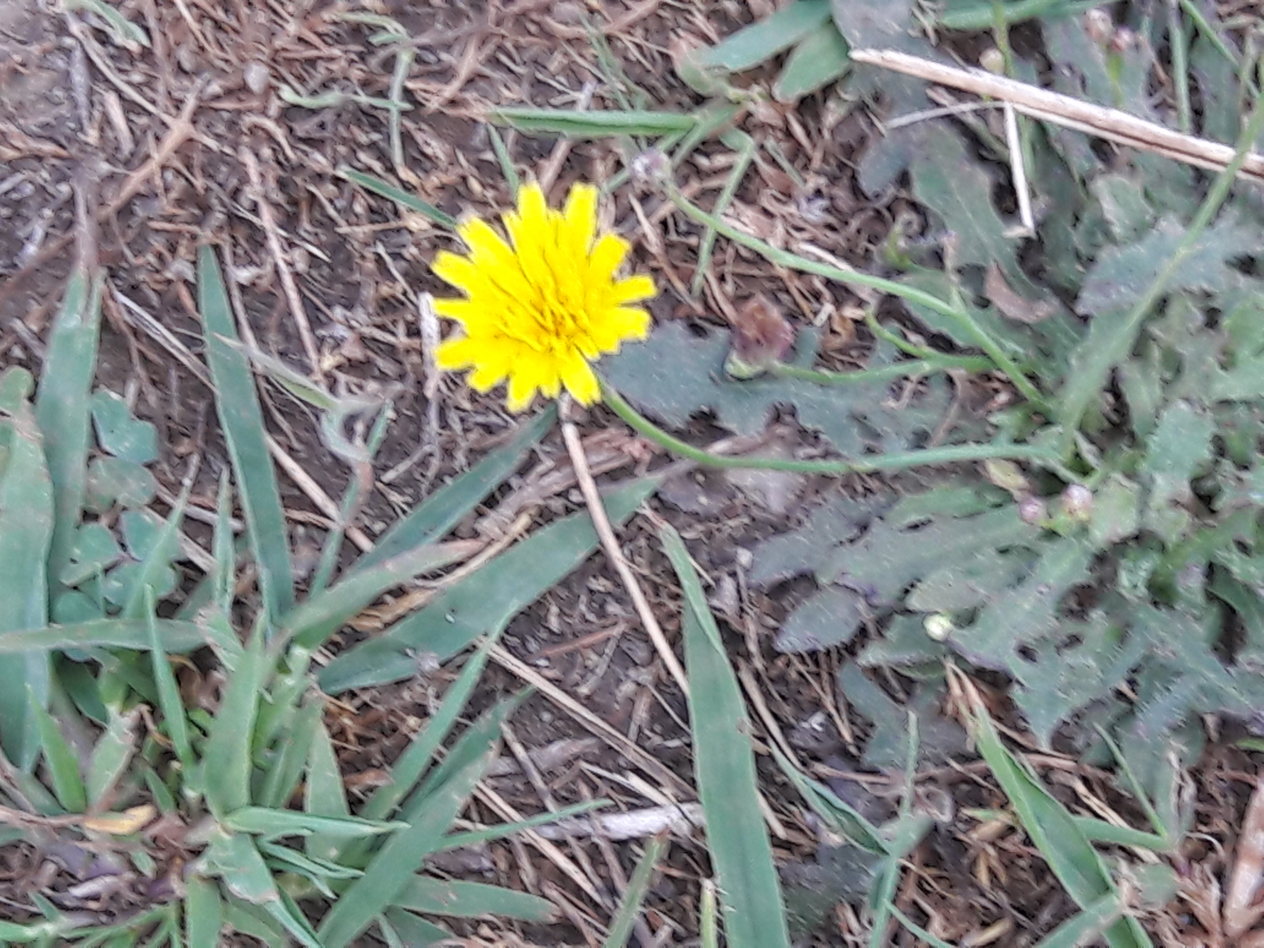 20170803_100054.jpg