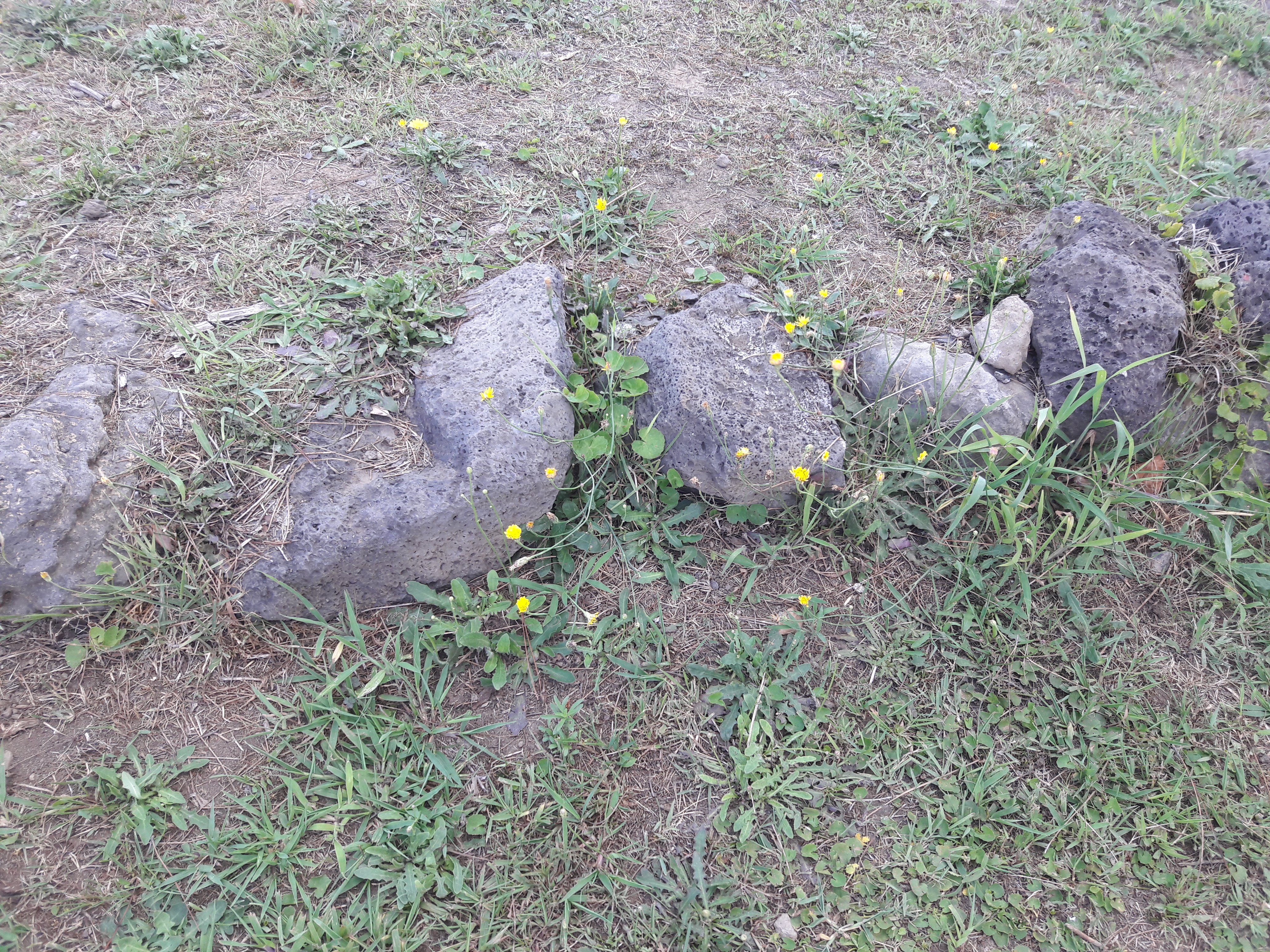 20170803_100115.jpg