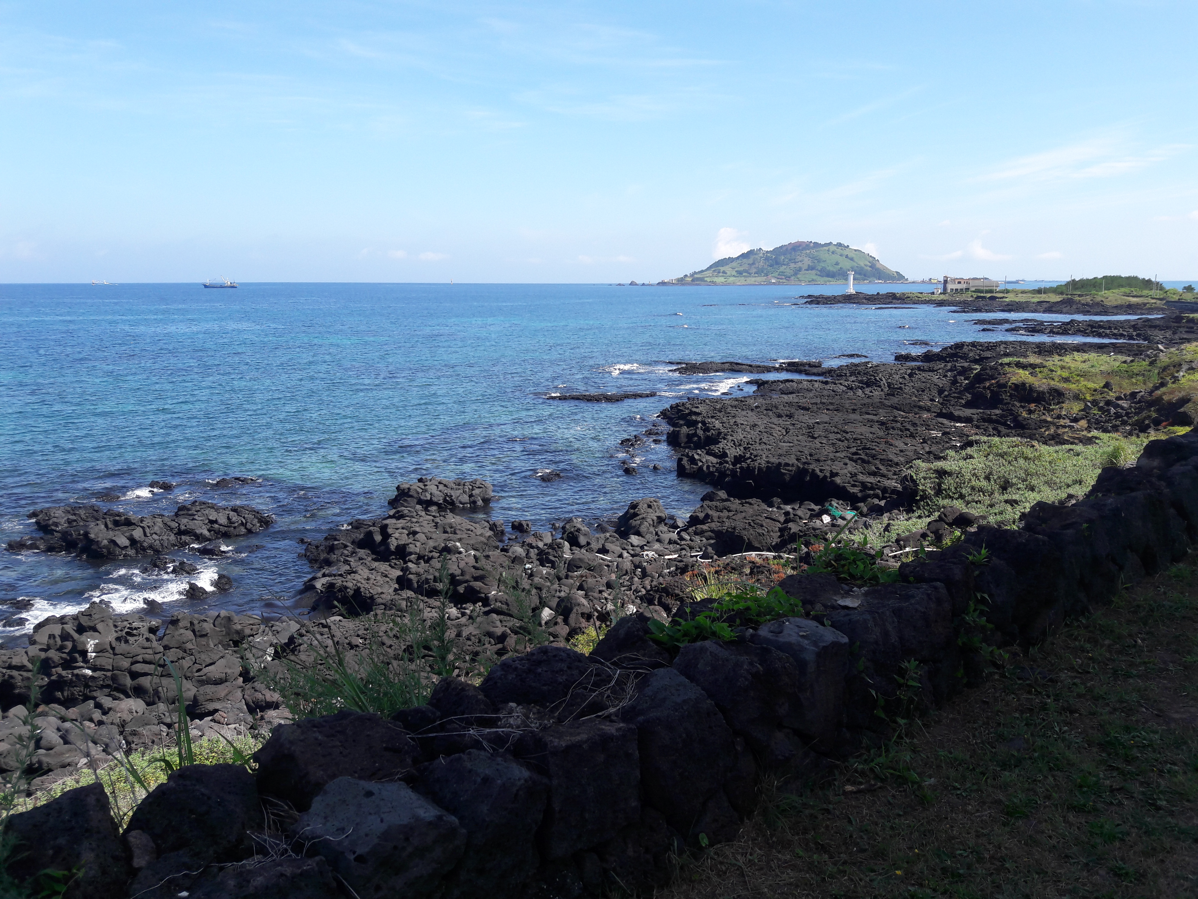 20170803_100121.jpg