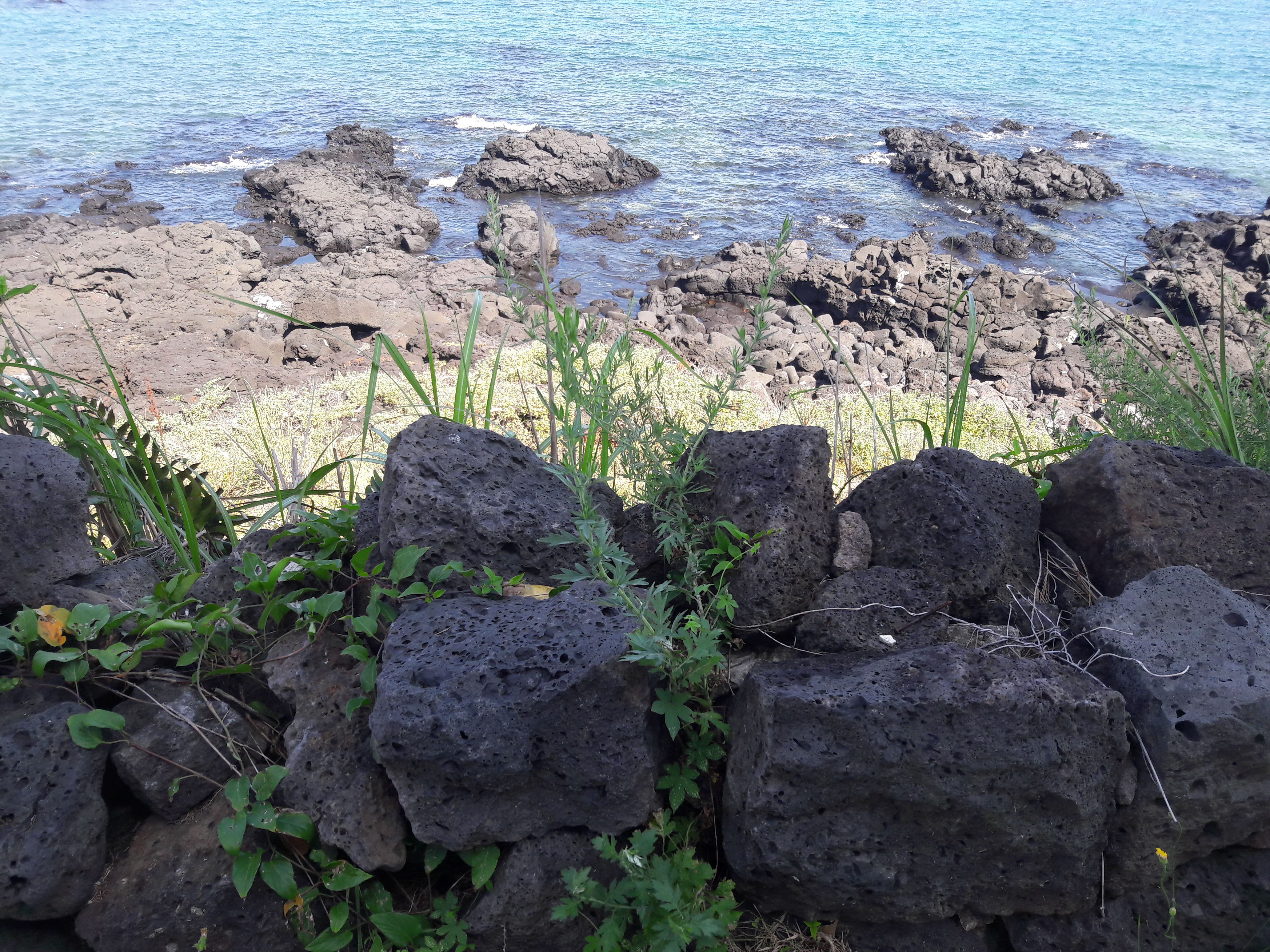 20170803_100149.jpg