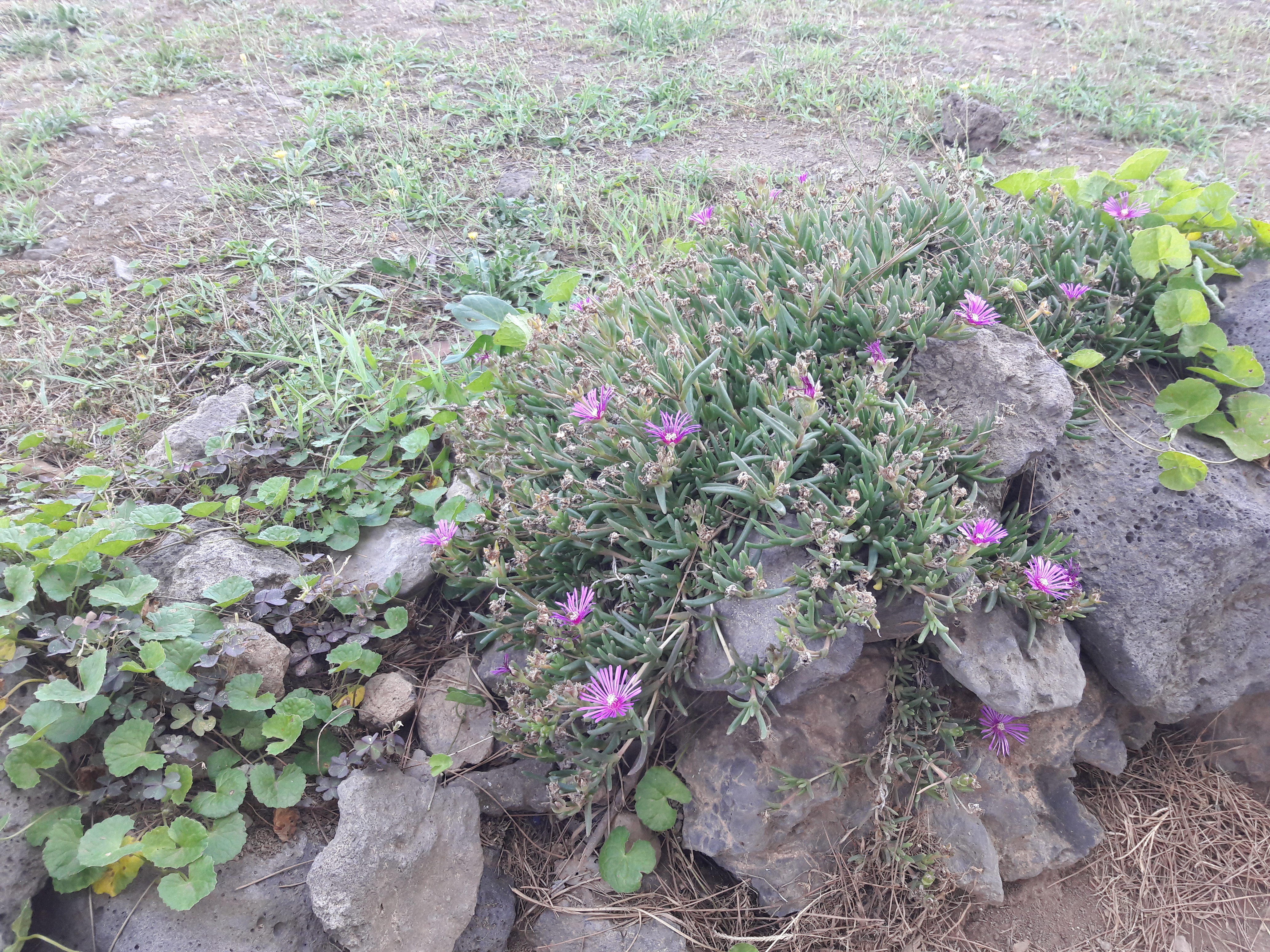 20170803_100229.jpg