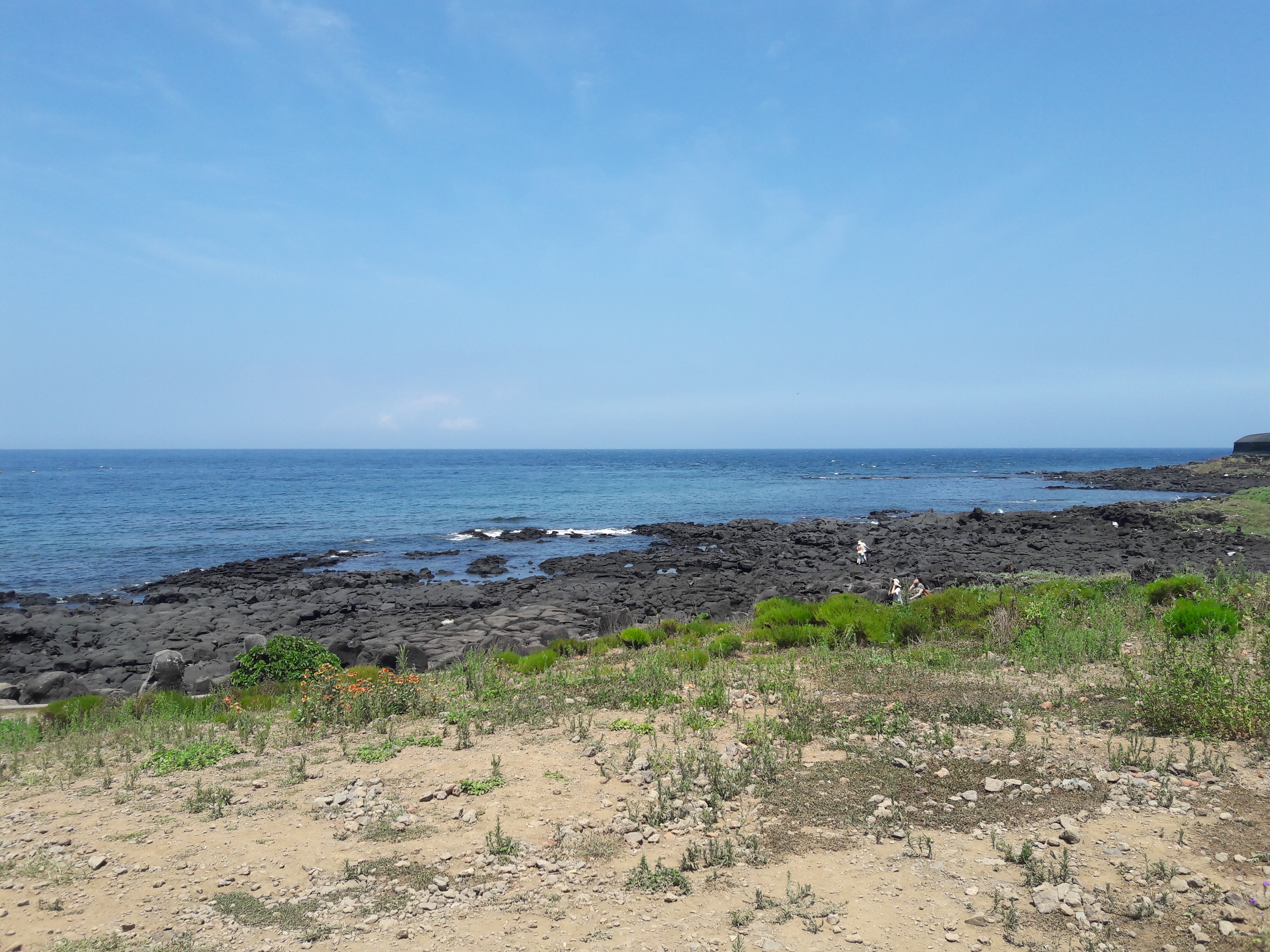 20170803_115326.jpg