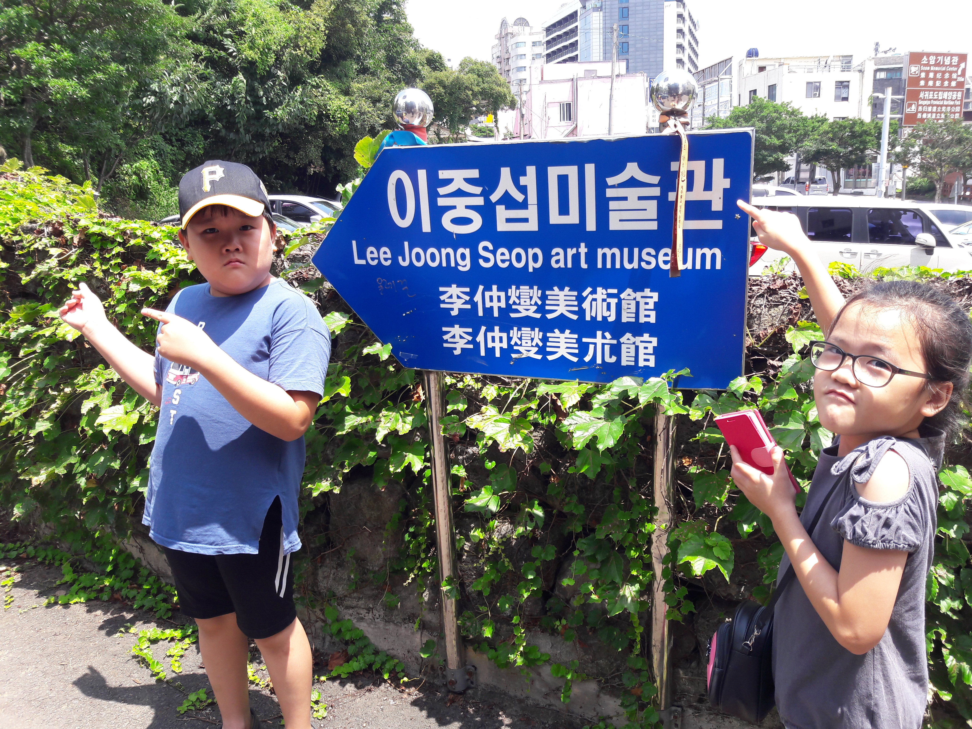 20170803_130947.jpg