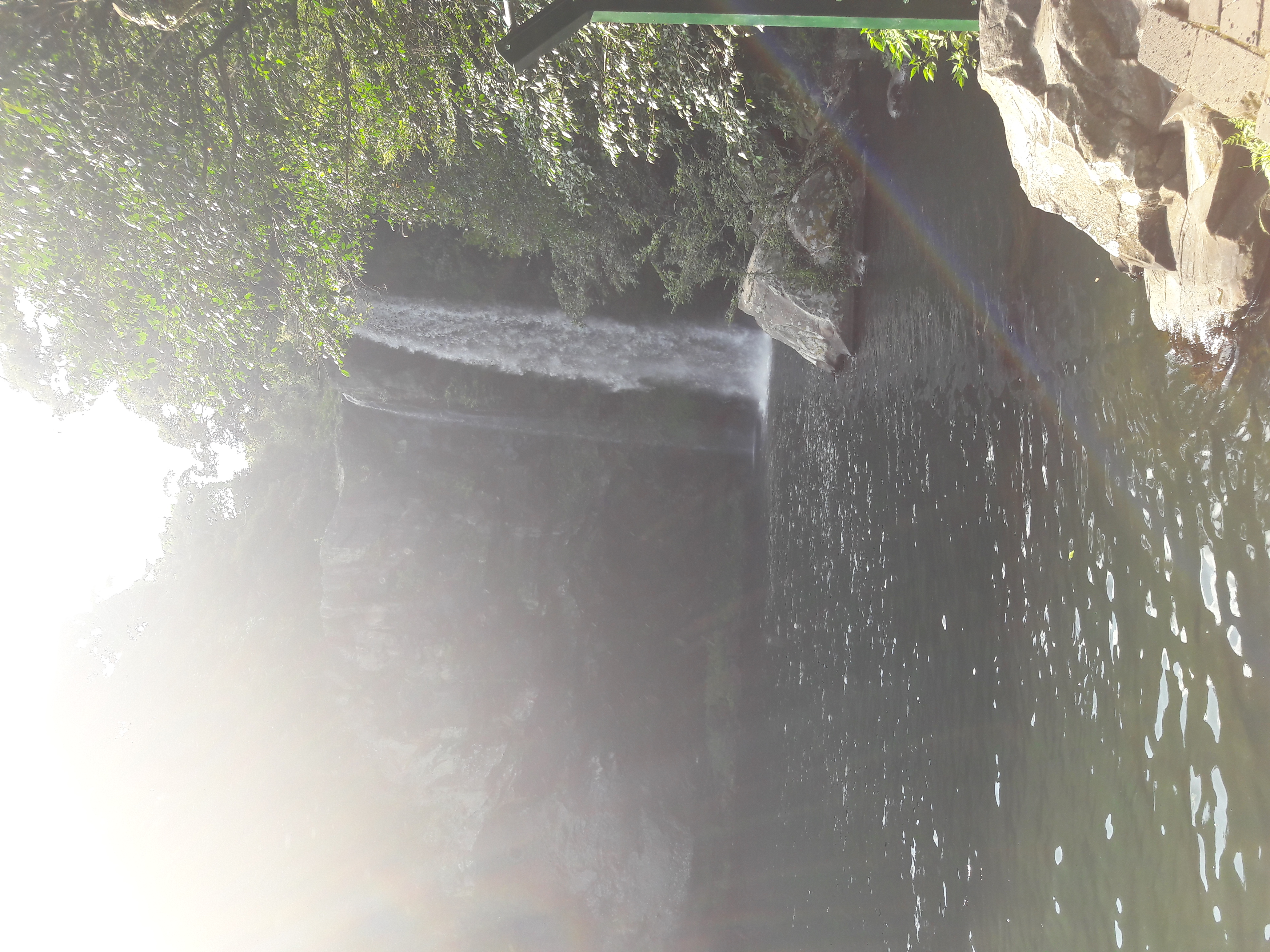20170803_161626.jpg