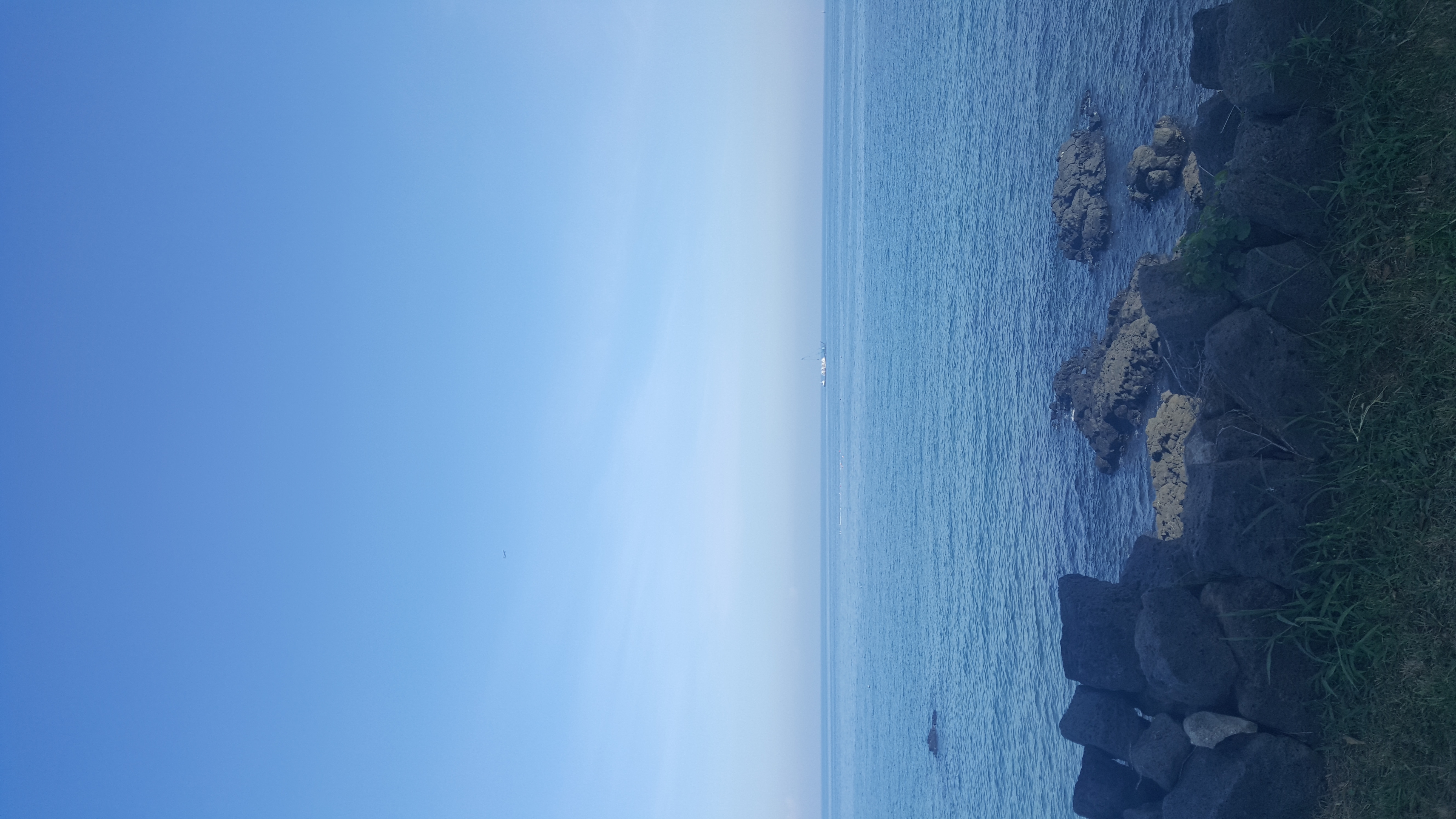 20170804_082938.jpg