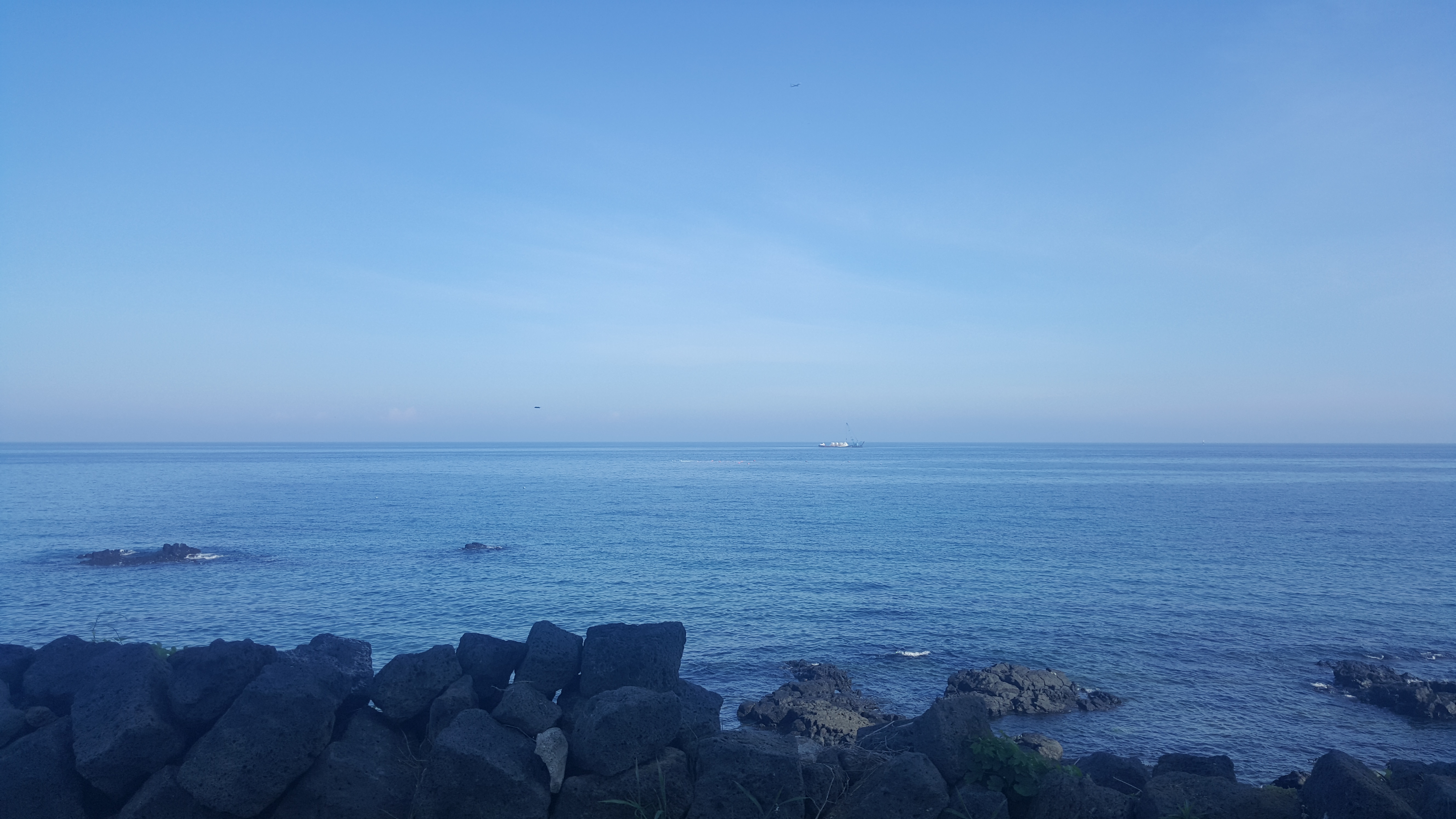 20170804_082943.jpg