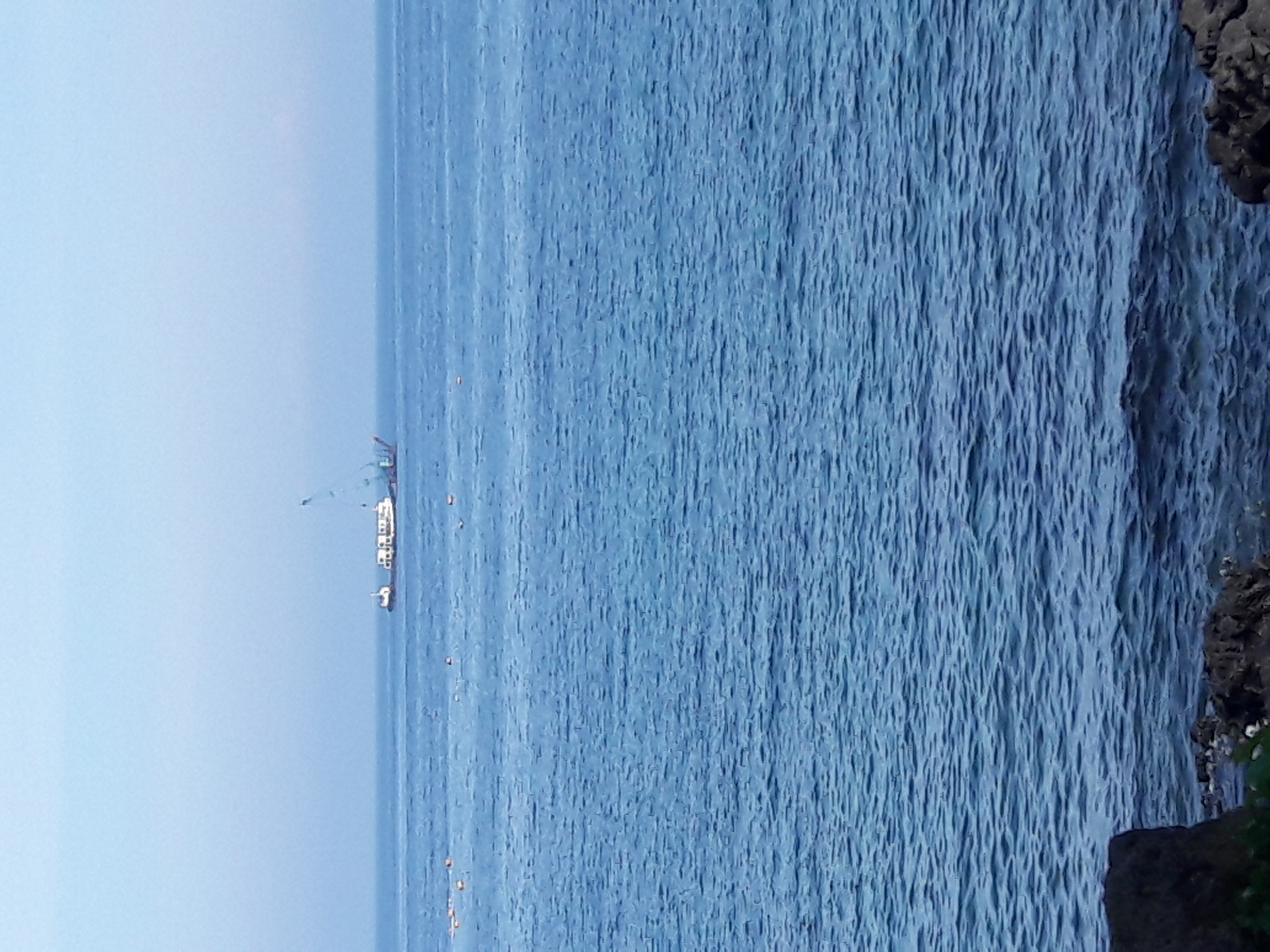 20170804_083542.jpg