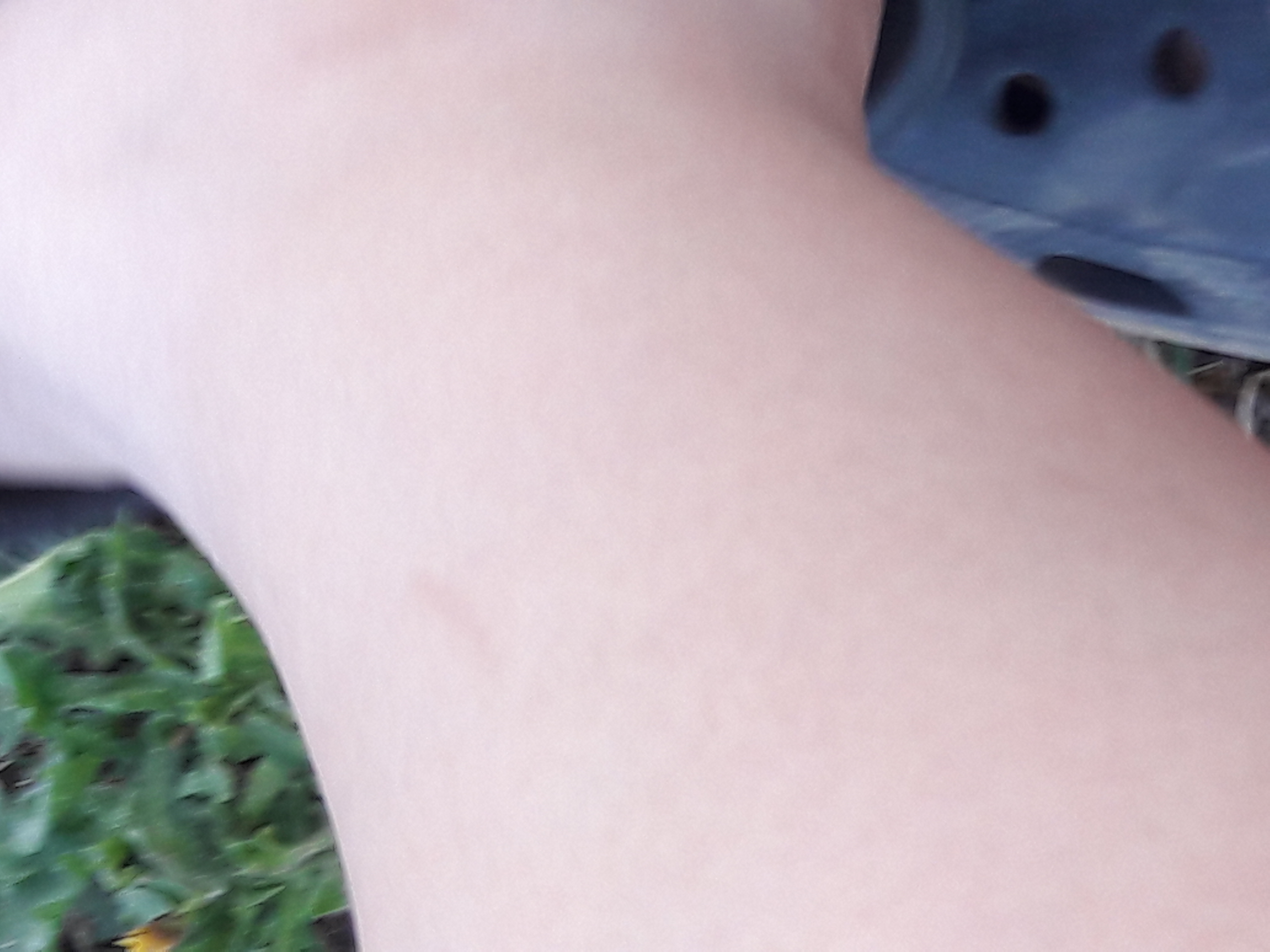 20170804_083554.jpg