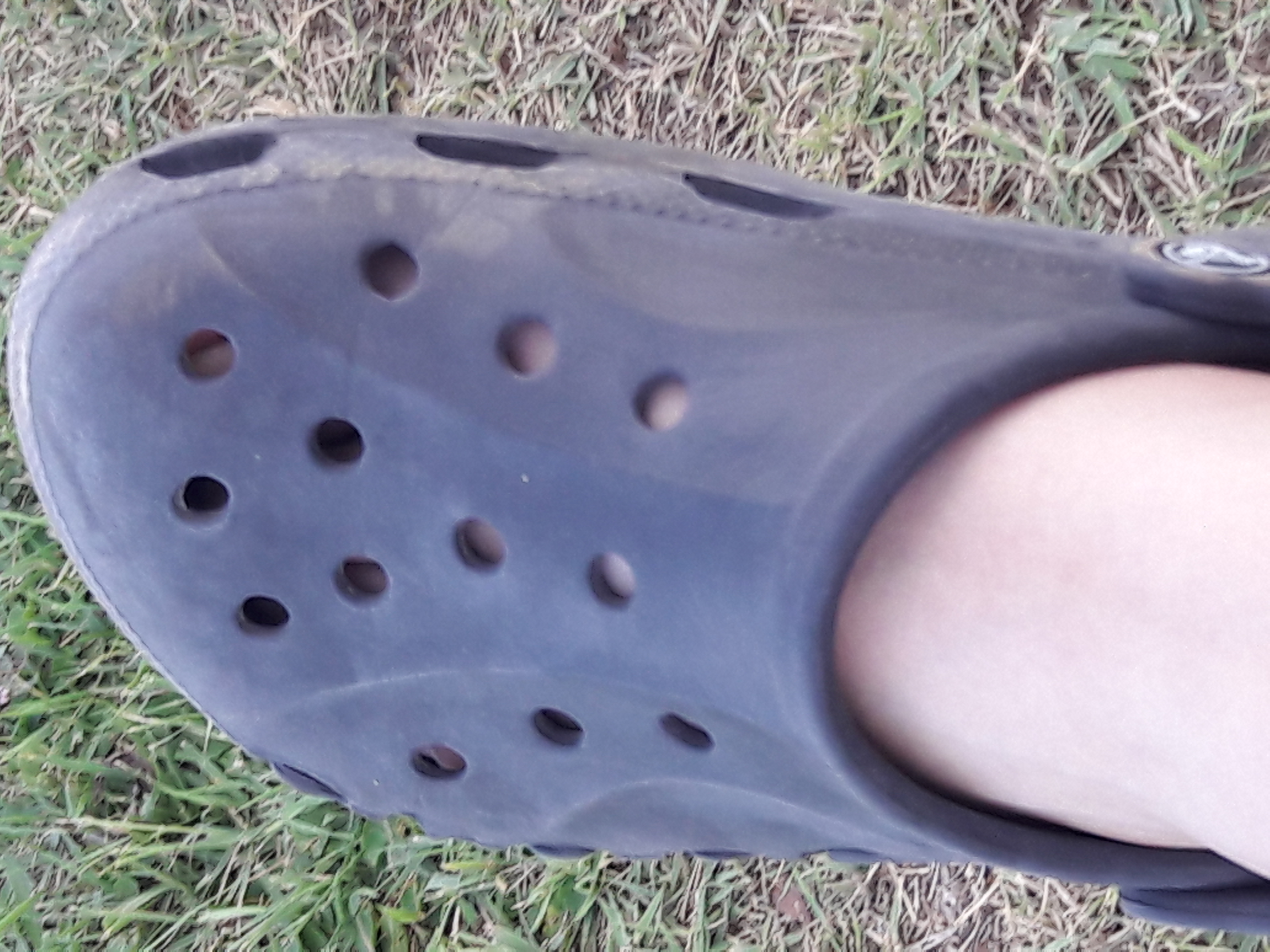 20170804_083600.jpg