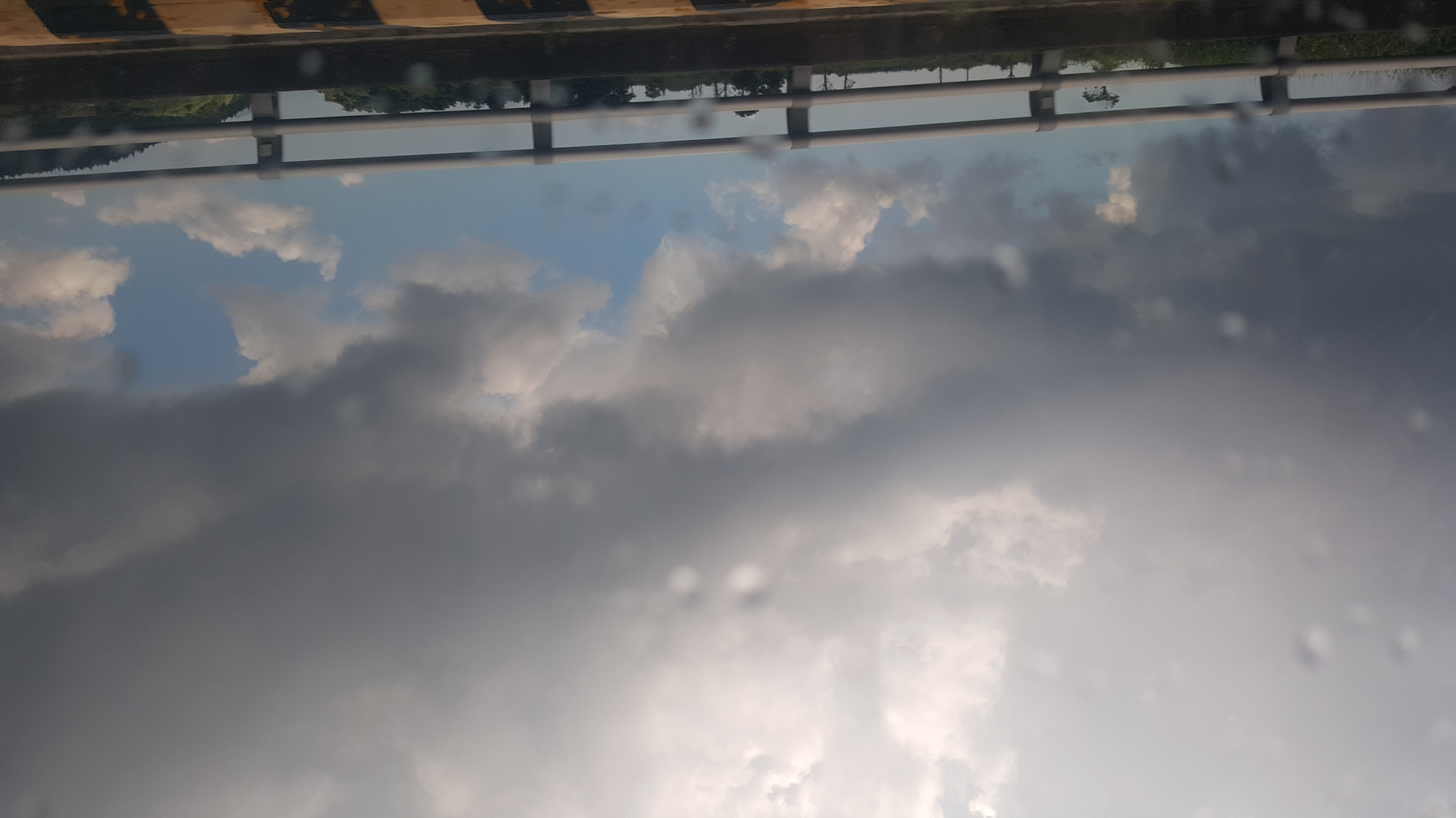 20170804_113545.jpg