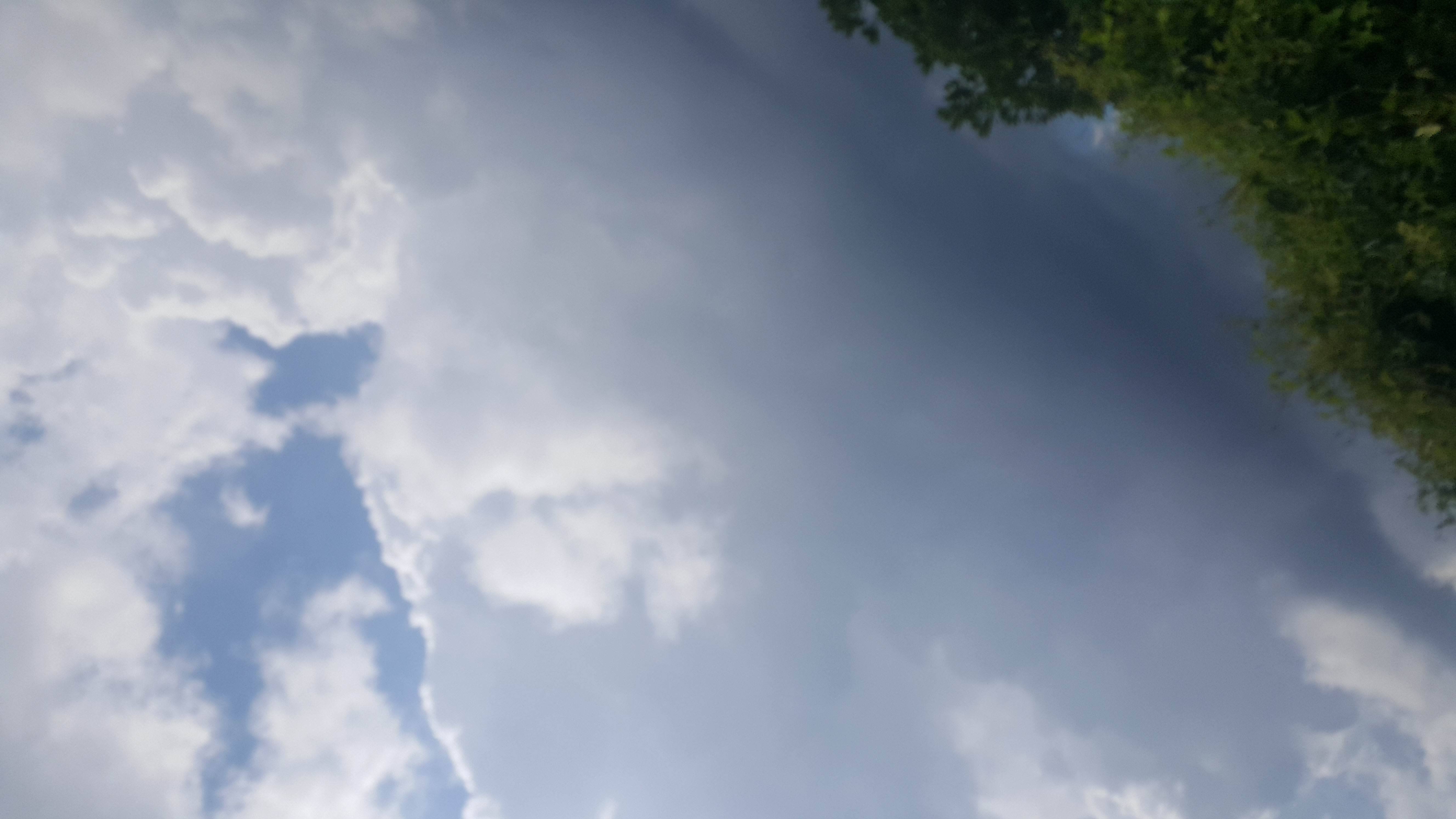 20170804_113636.jpg