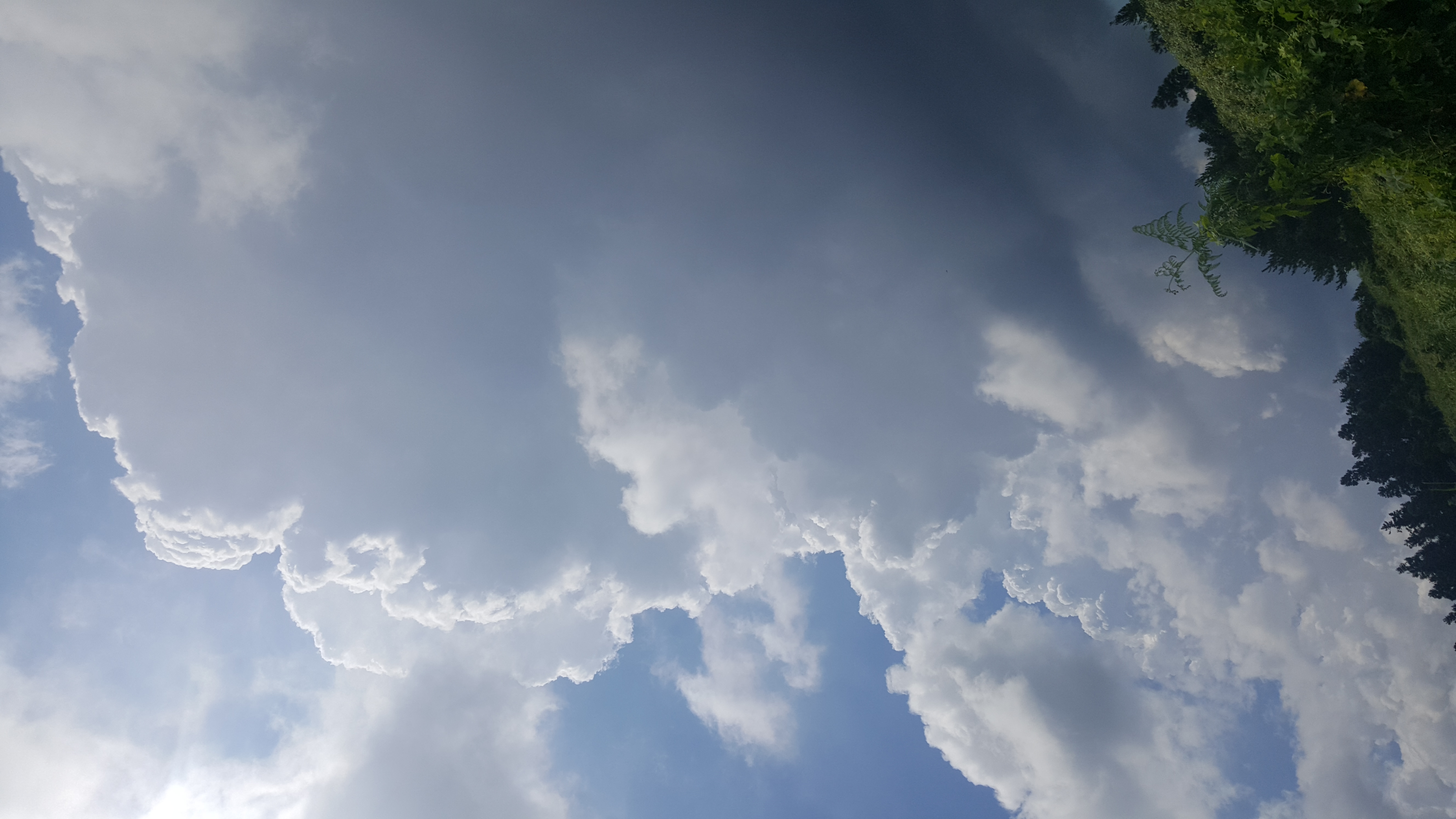 20170804_113646.jpg
