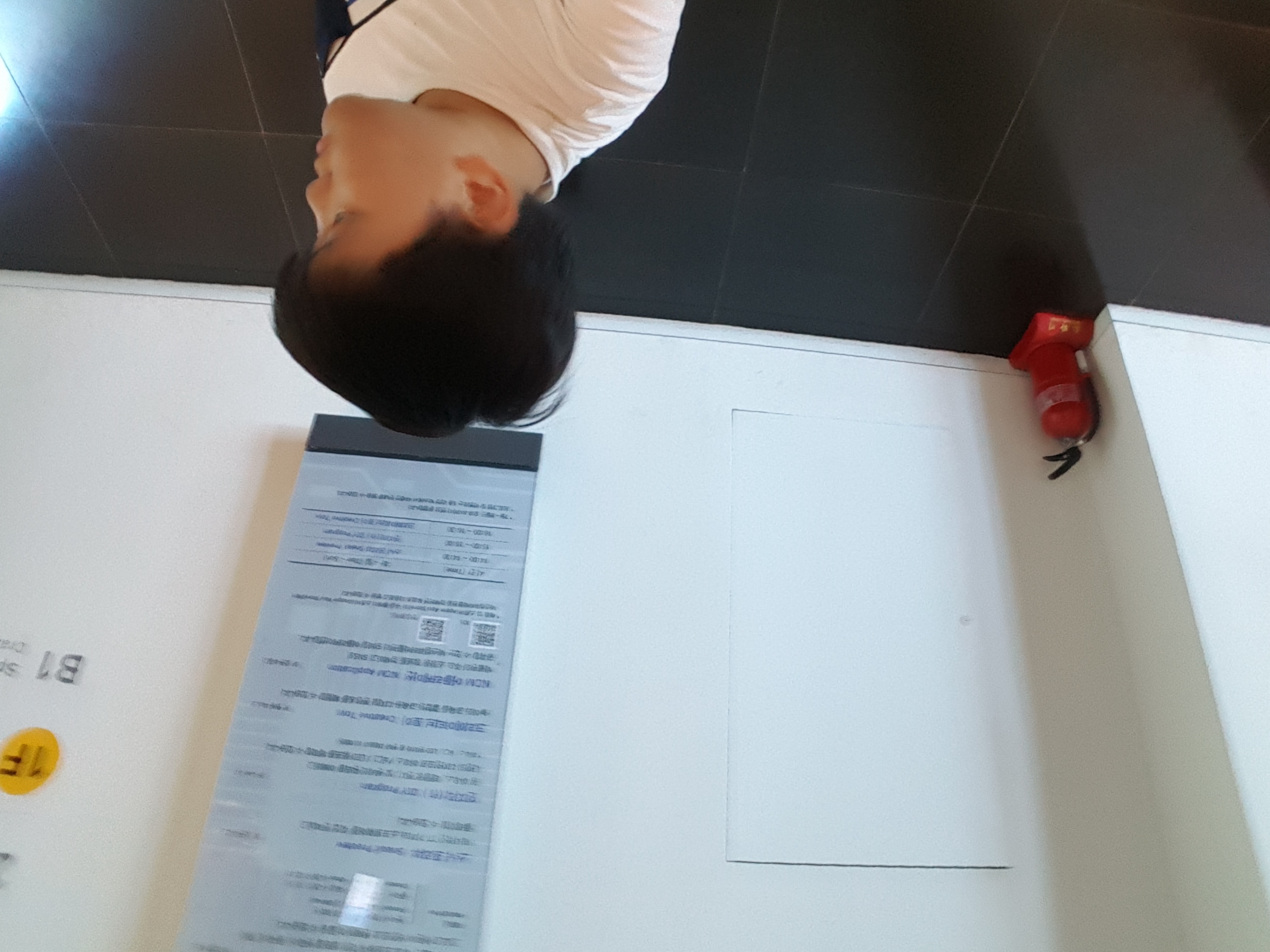 20170805_121259.jpg
