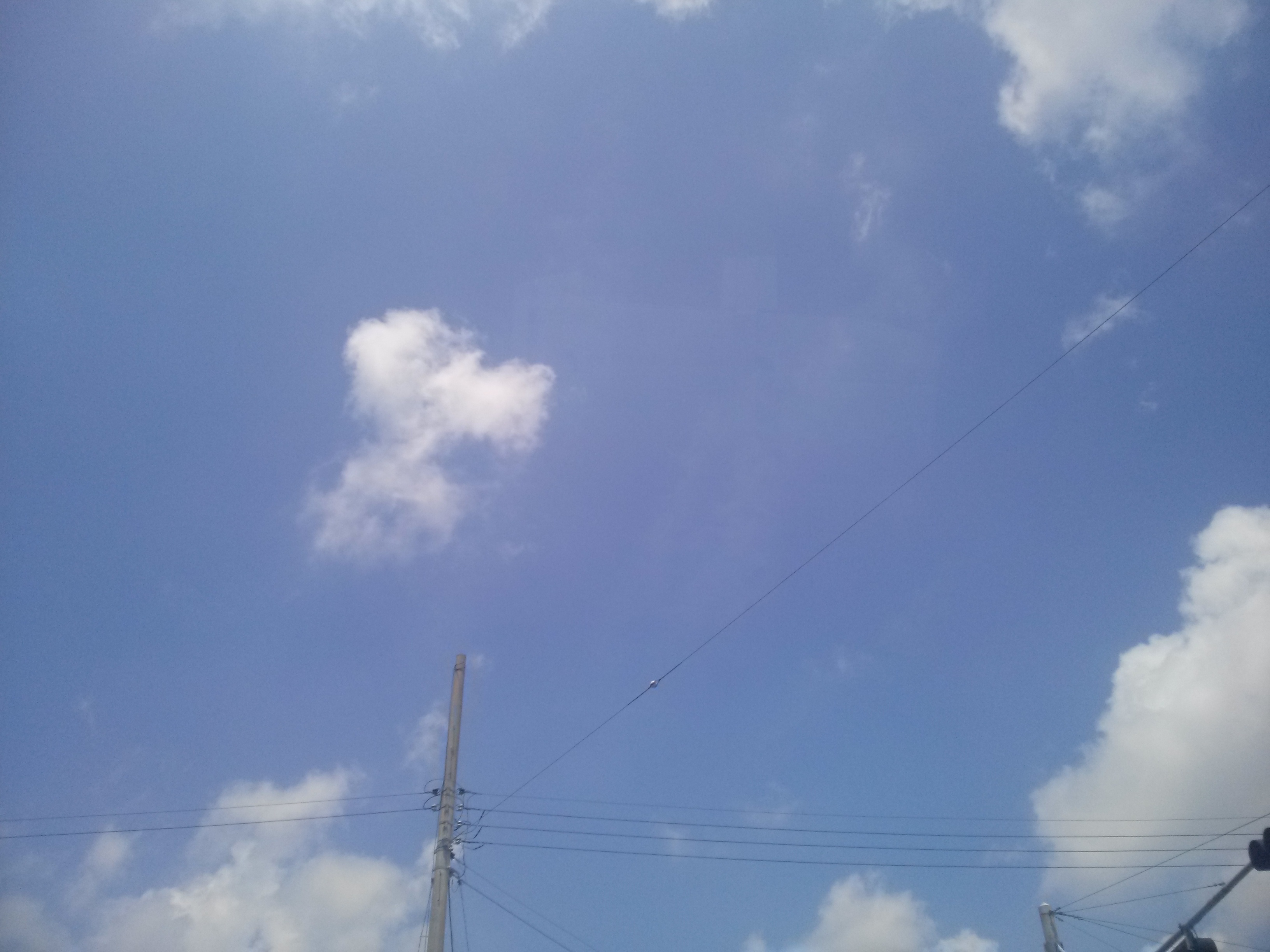 CAM00017.jpg