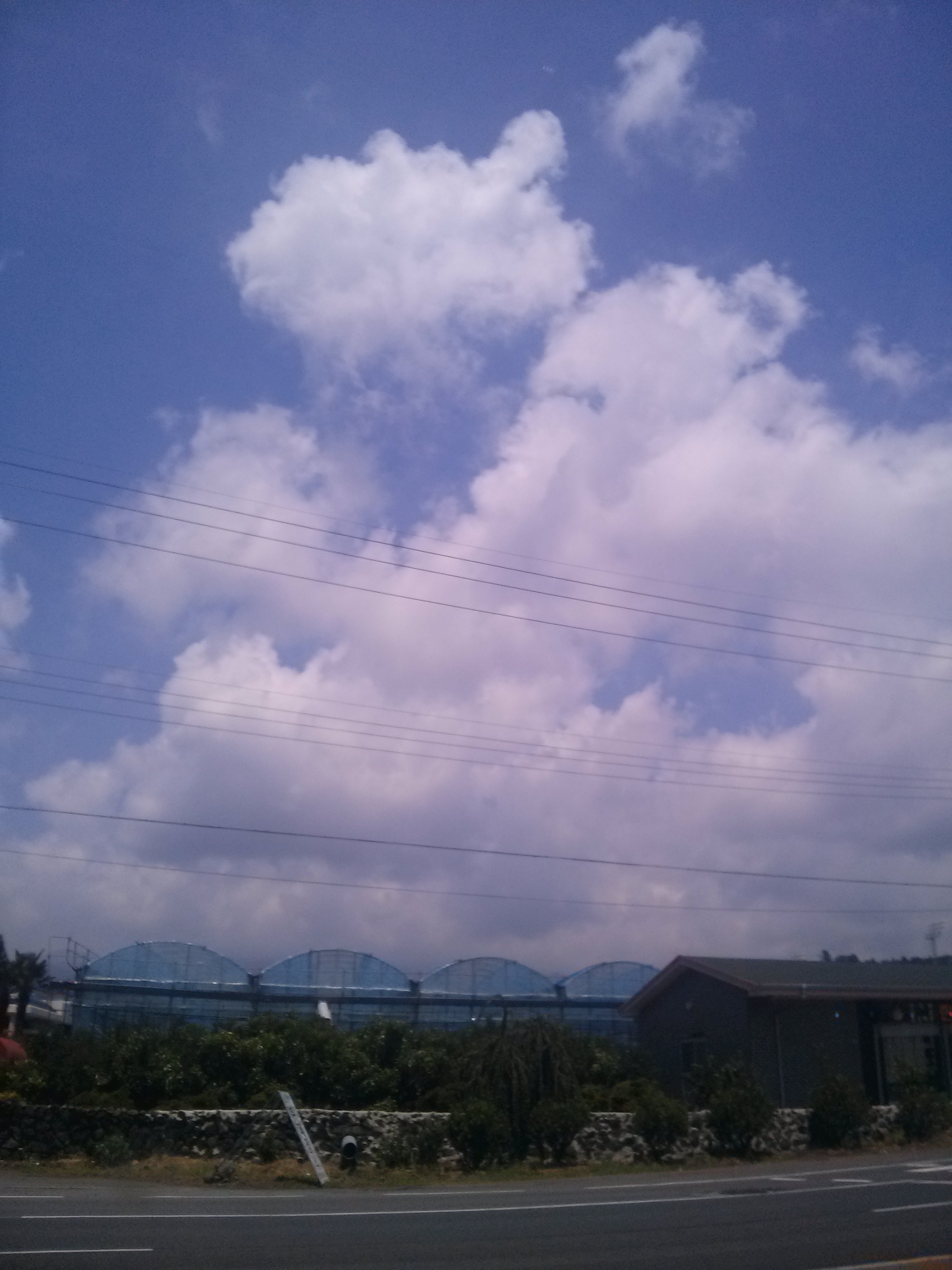 CAM00025.jpg