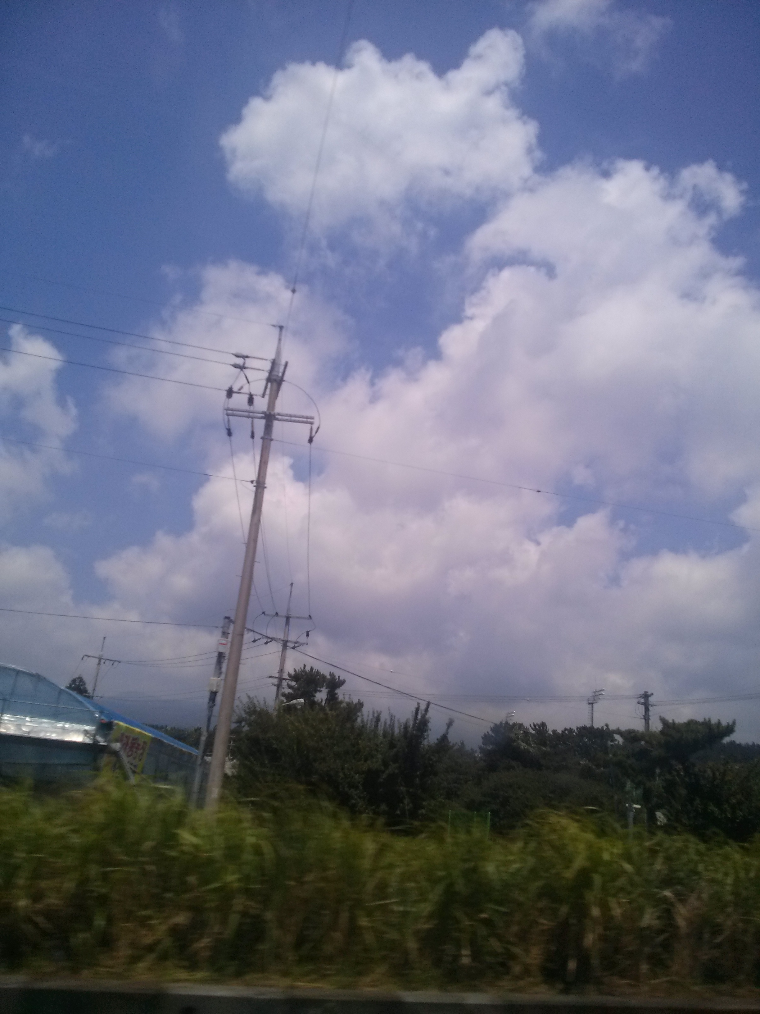 CAM00026.jpg