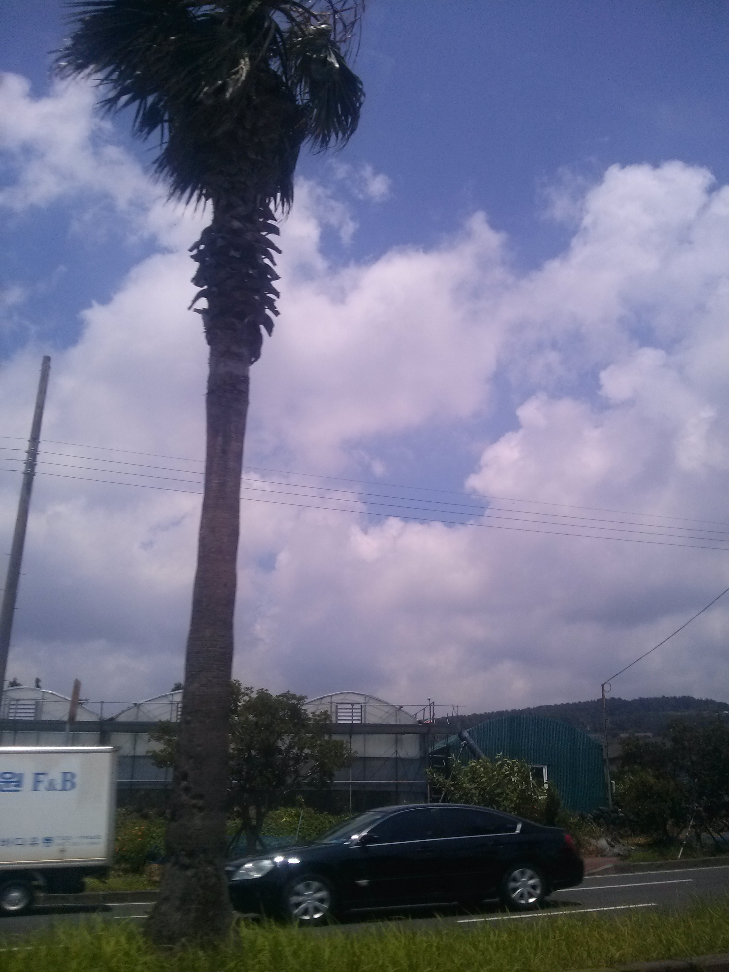 CAM00027.jpg