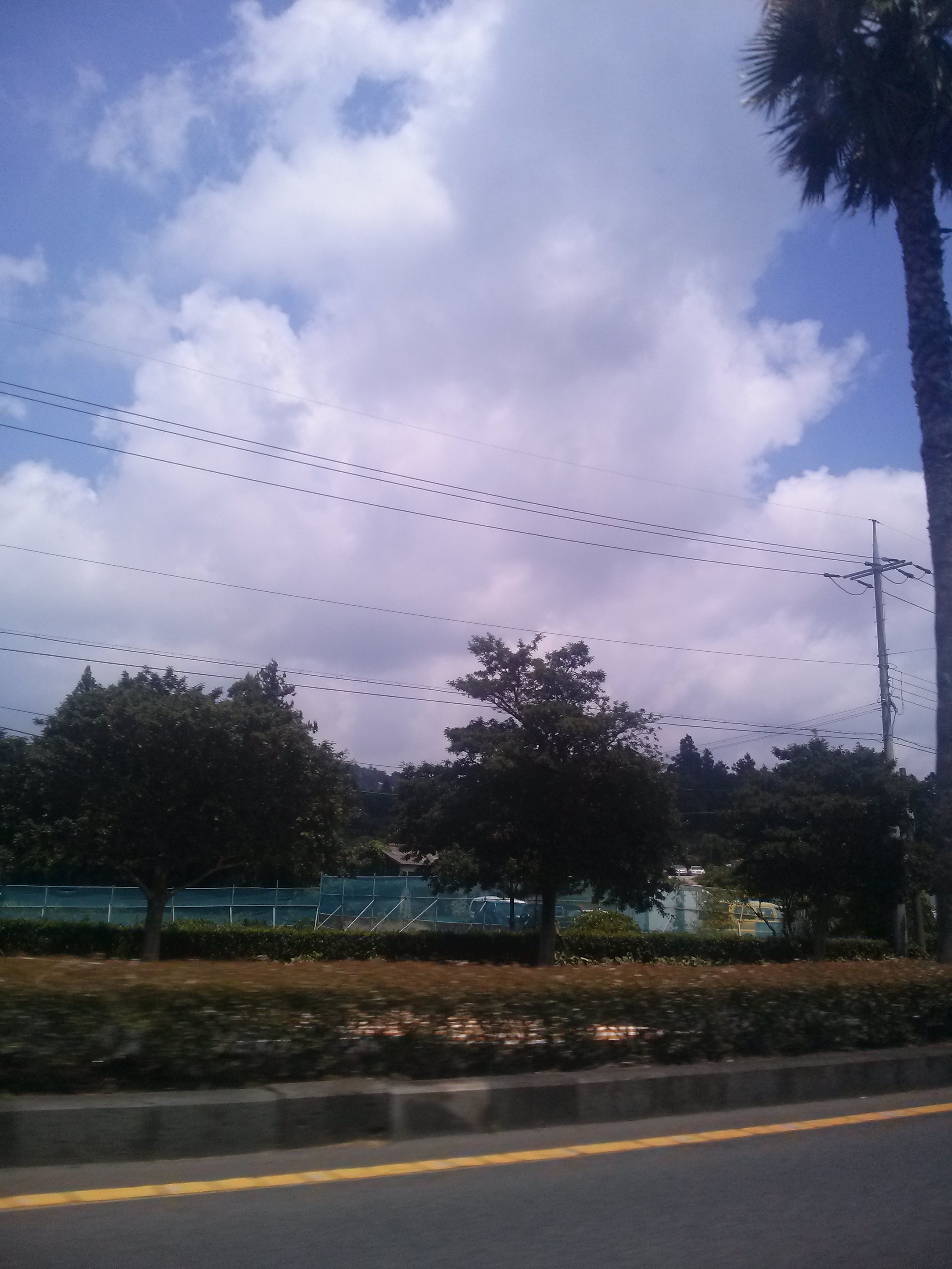 CAM00029.jpg