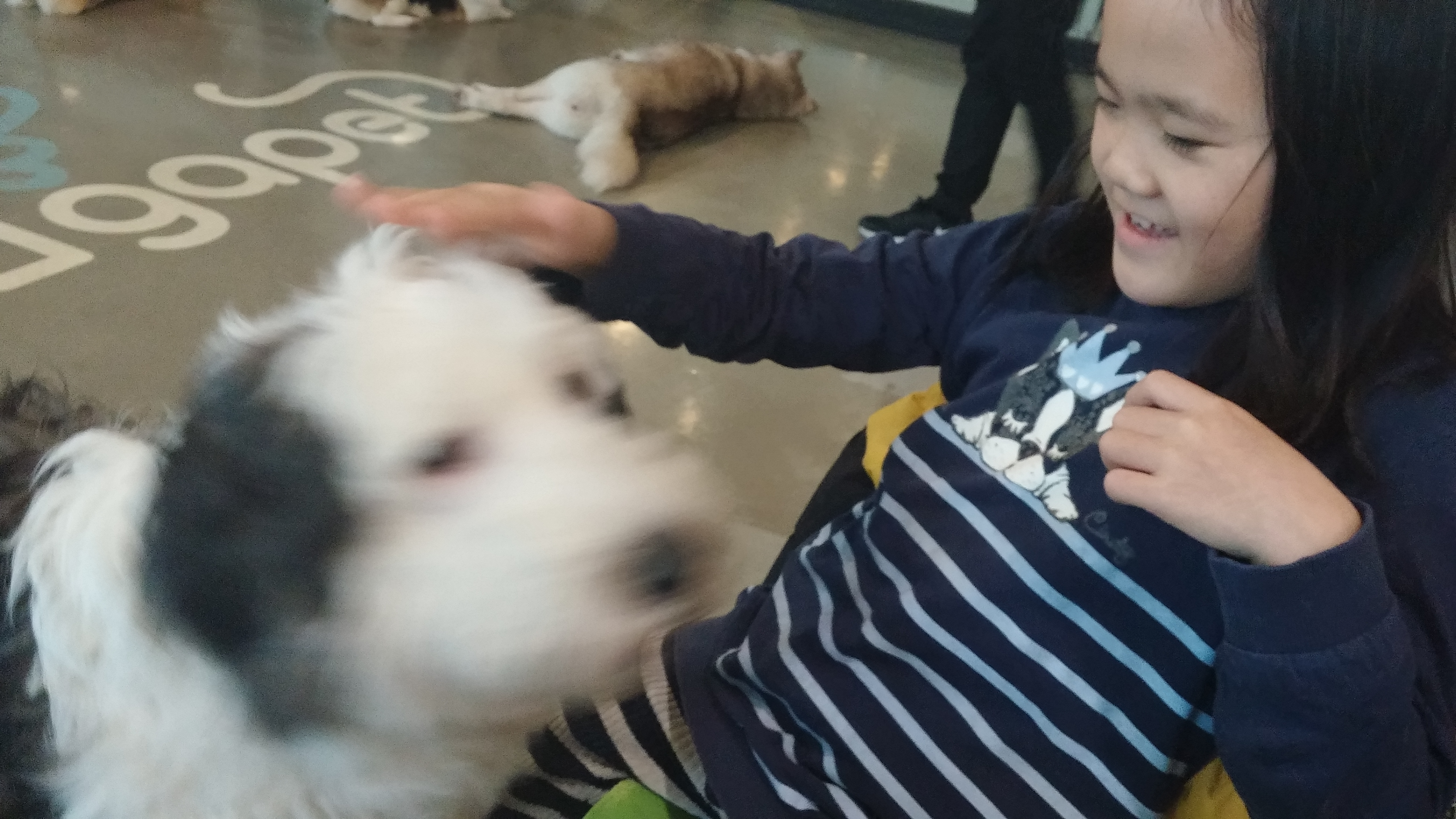 2017-02-19 15.19.03.jpg