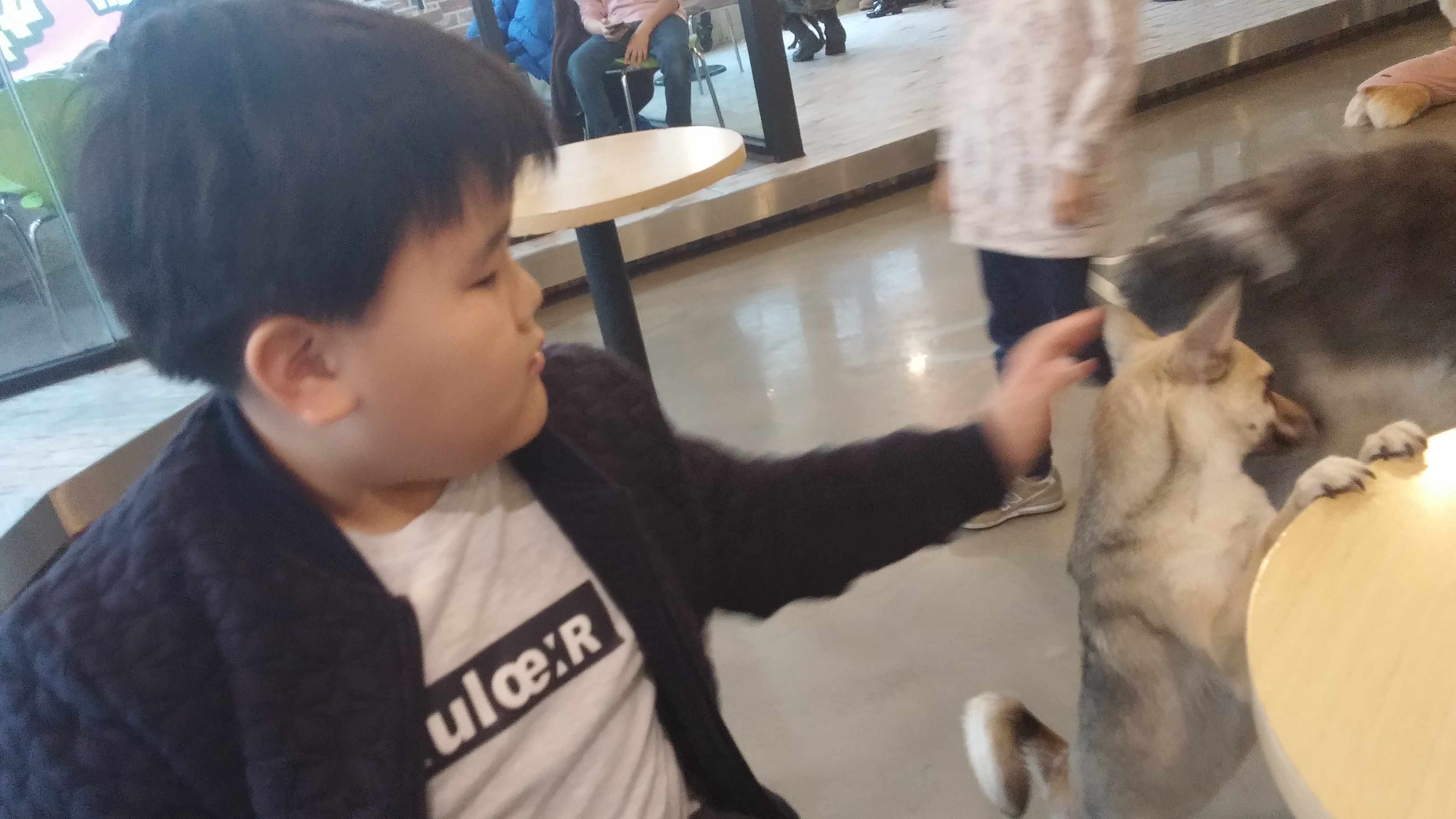 2017-02-19 15.19.15.jpg