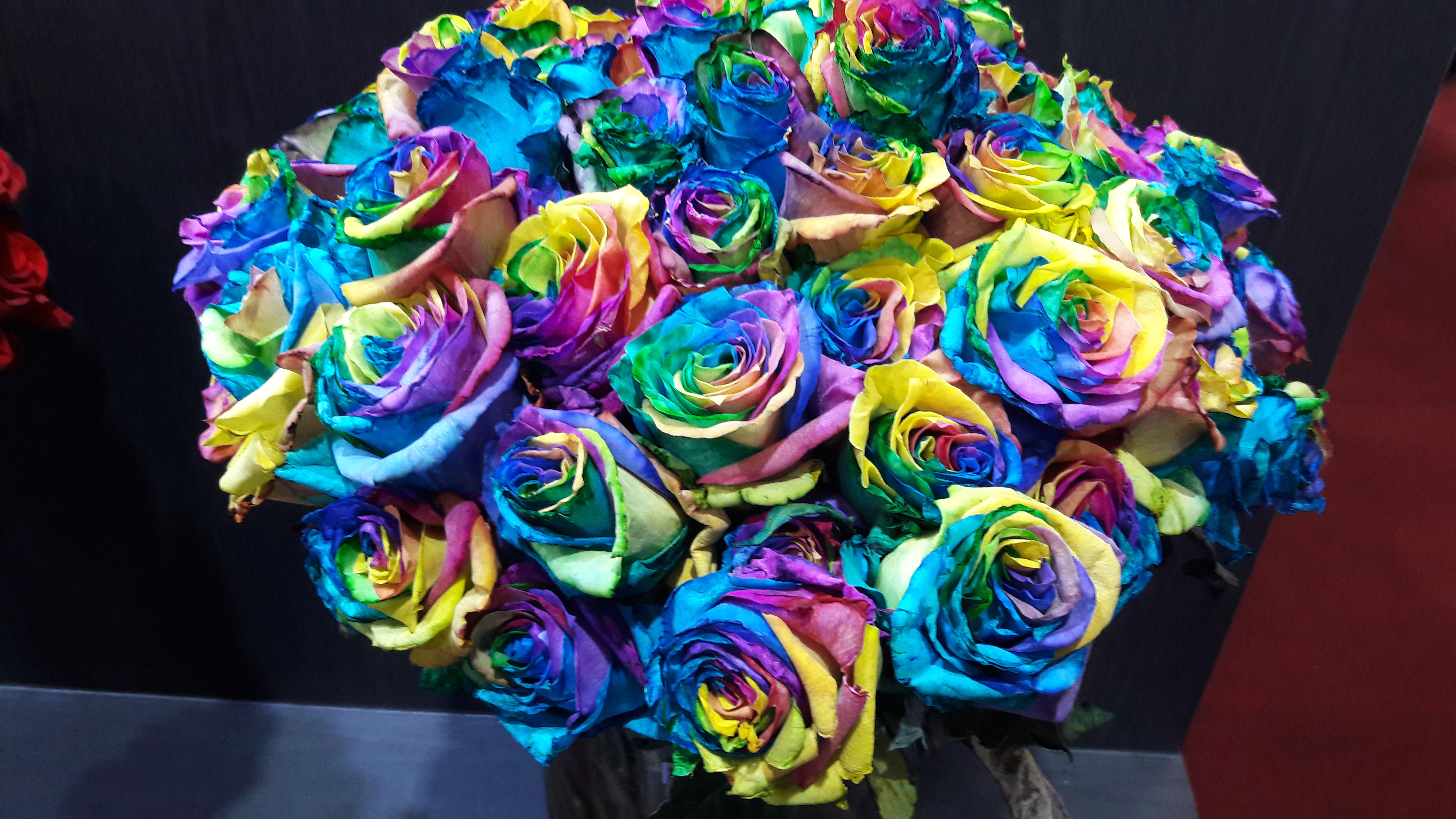 2017-04-30 17.14.09.jpg
