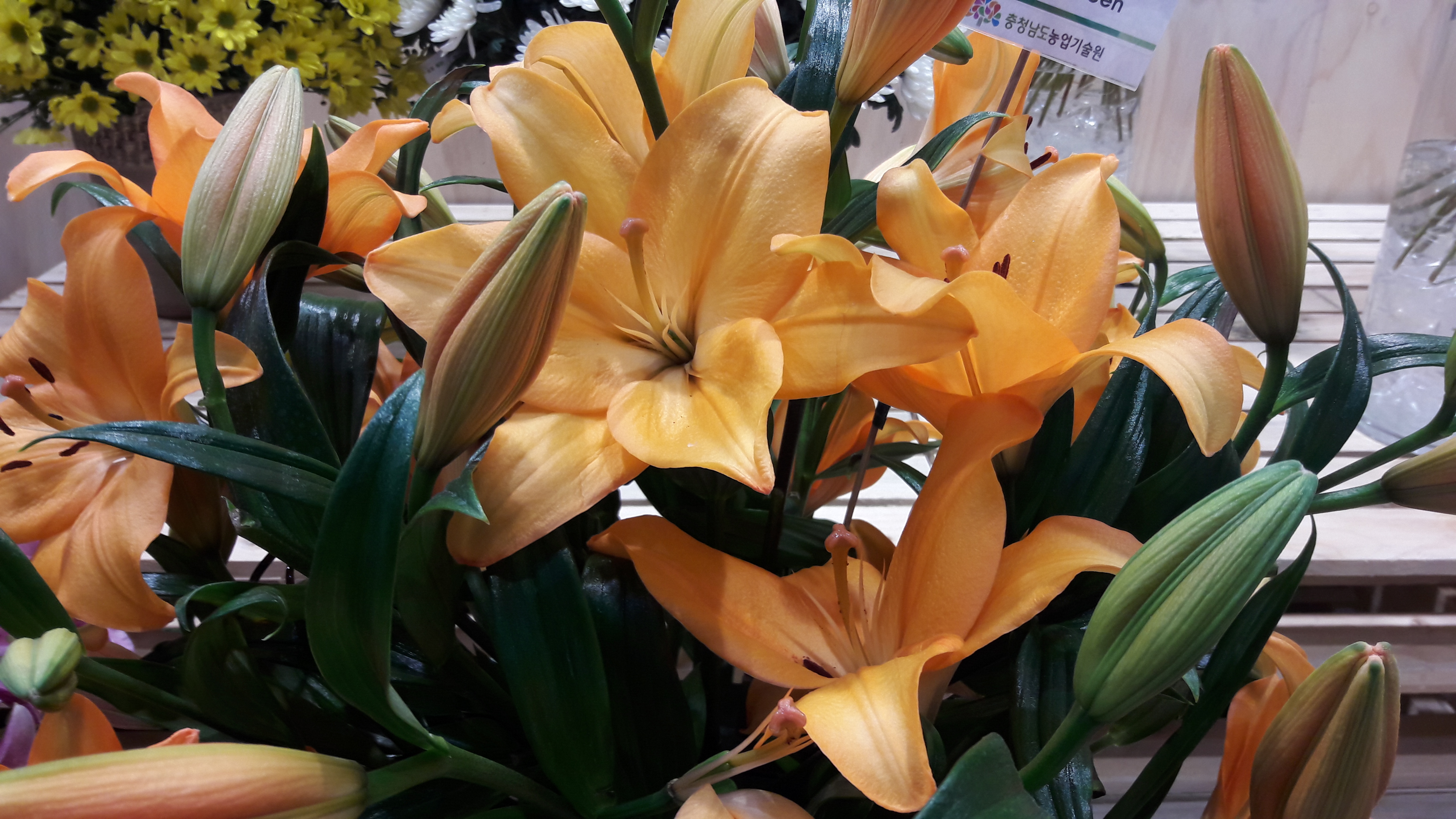 2017-04-30 17.24.09.jpg