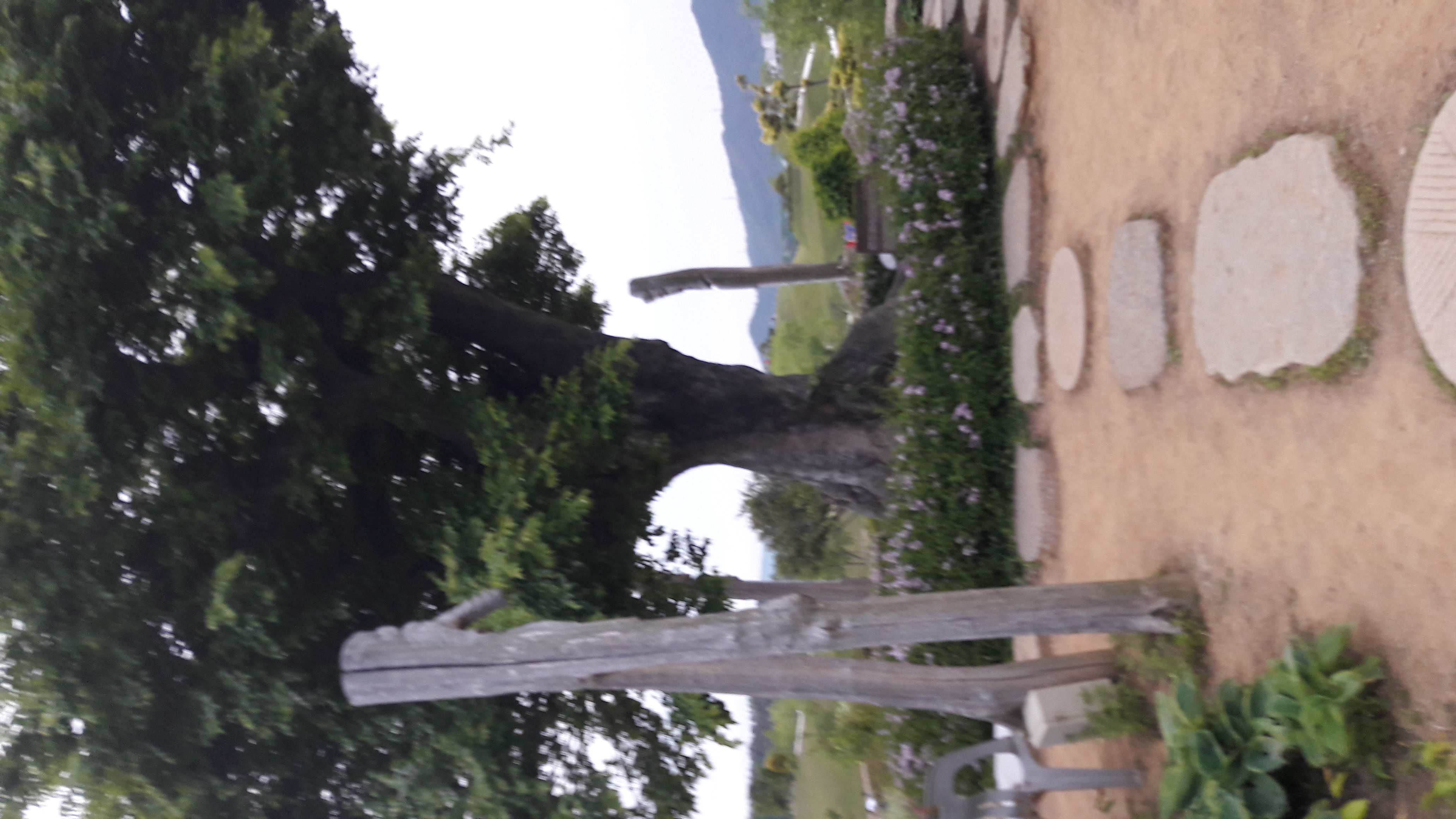 2017-05-04 18.48.59.jpg