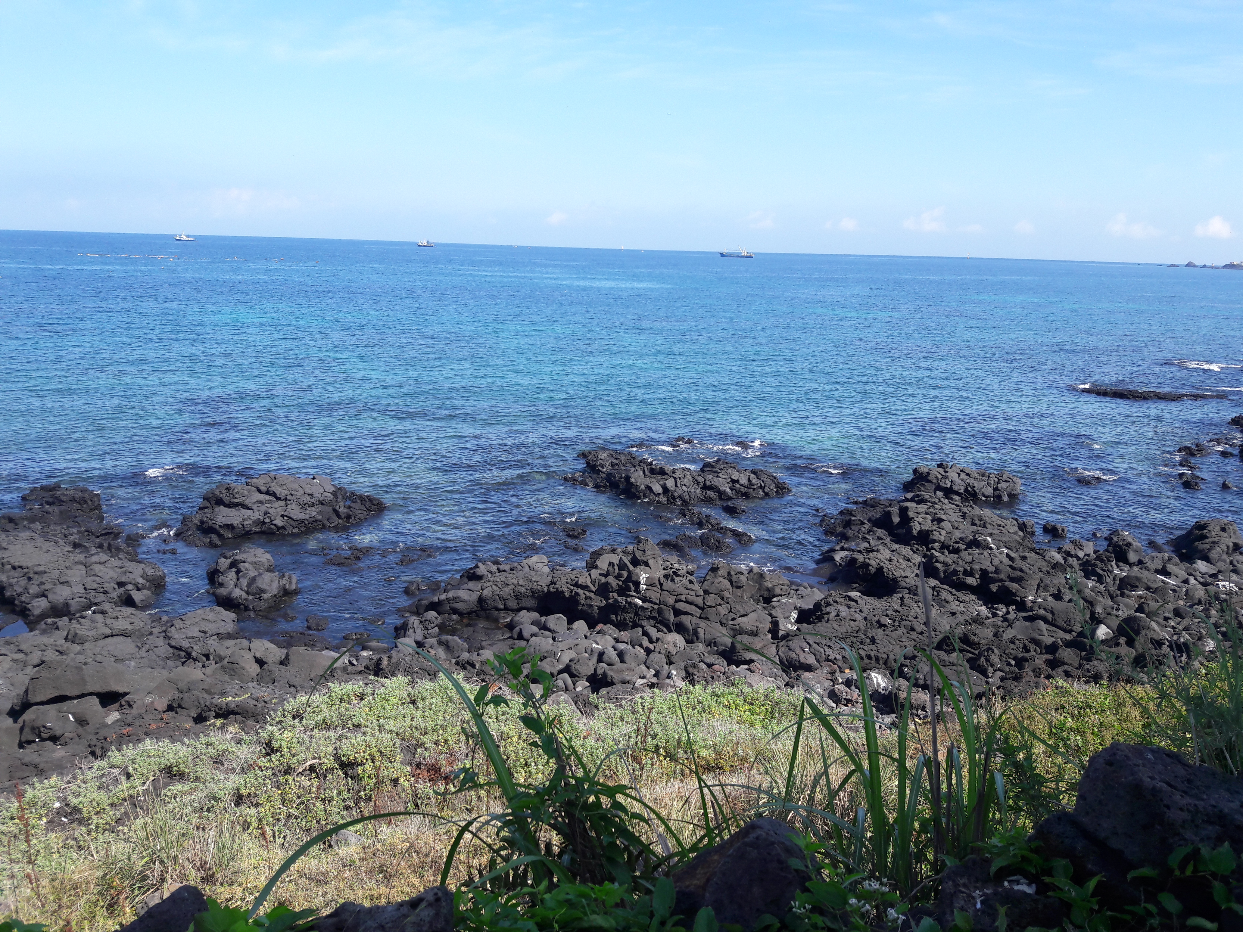 2017-08-03 09.52.35.jpg