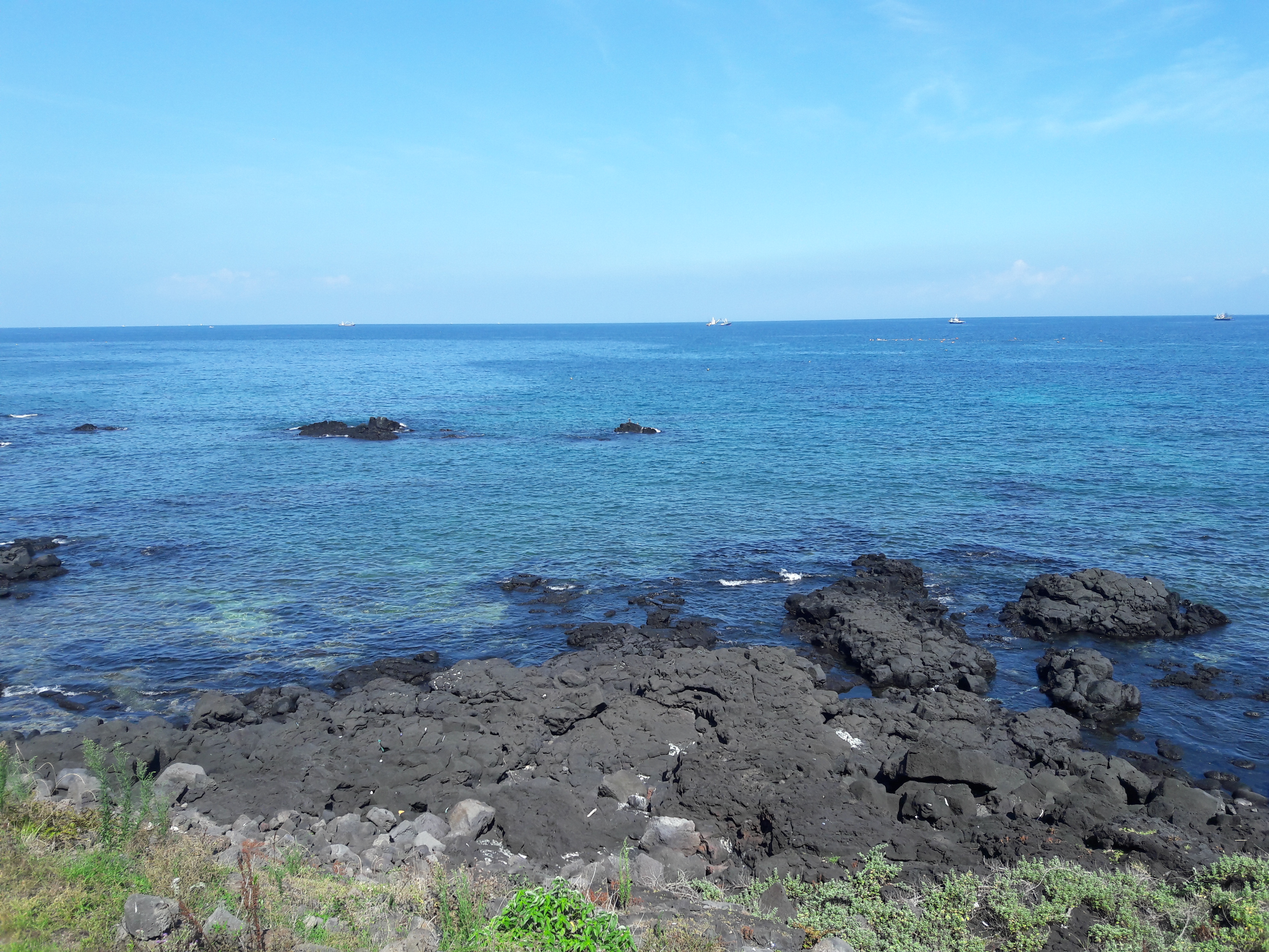 2017-08-03 09.55.22.jpg