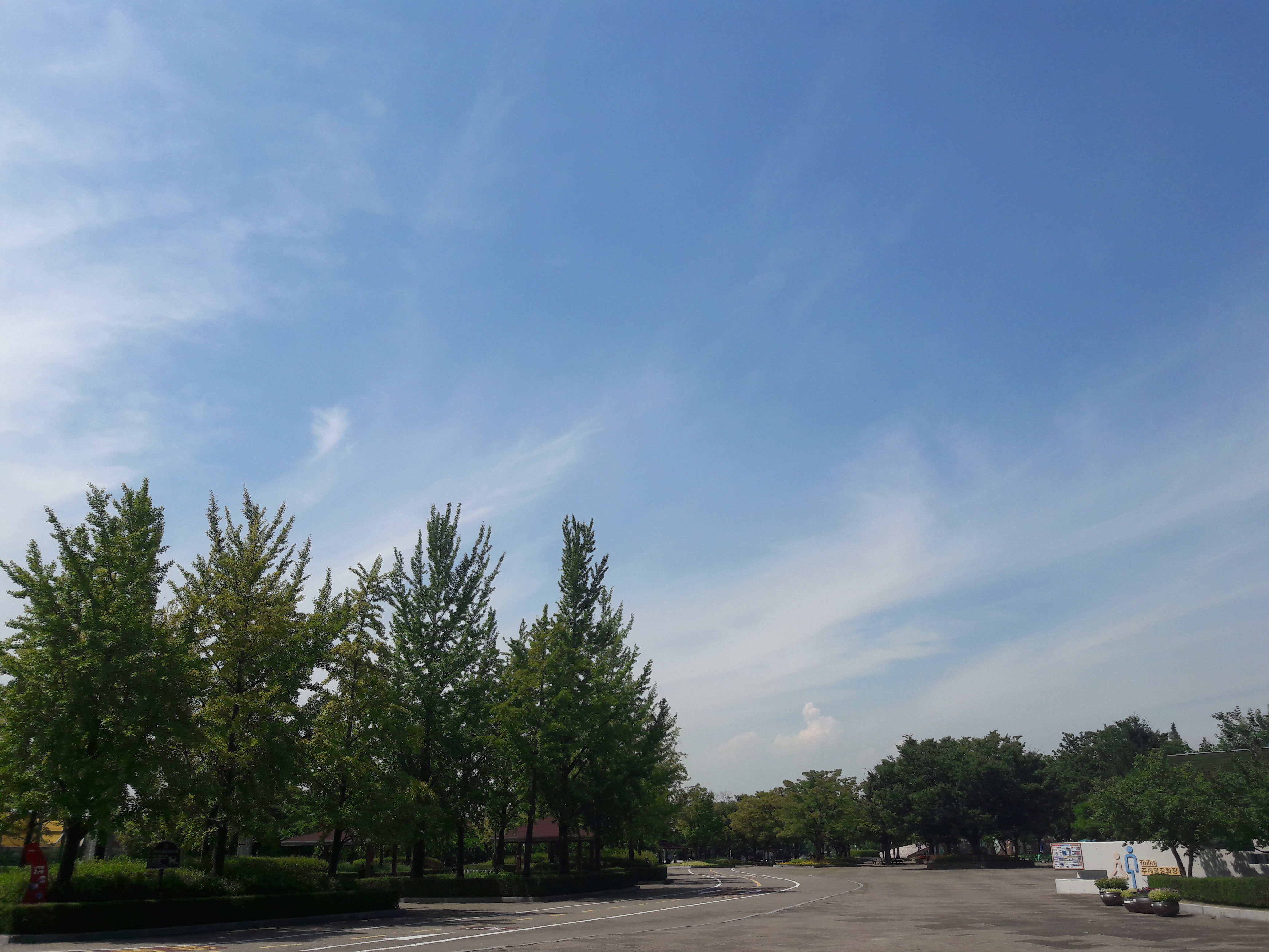 2017-09-04 12.46.30.jpg