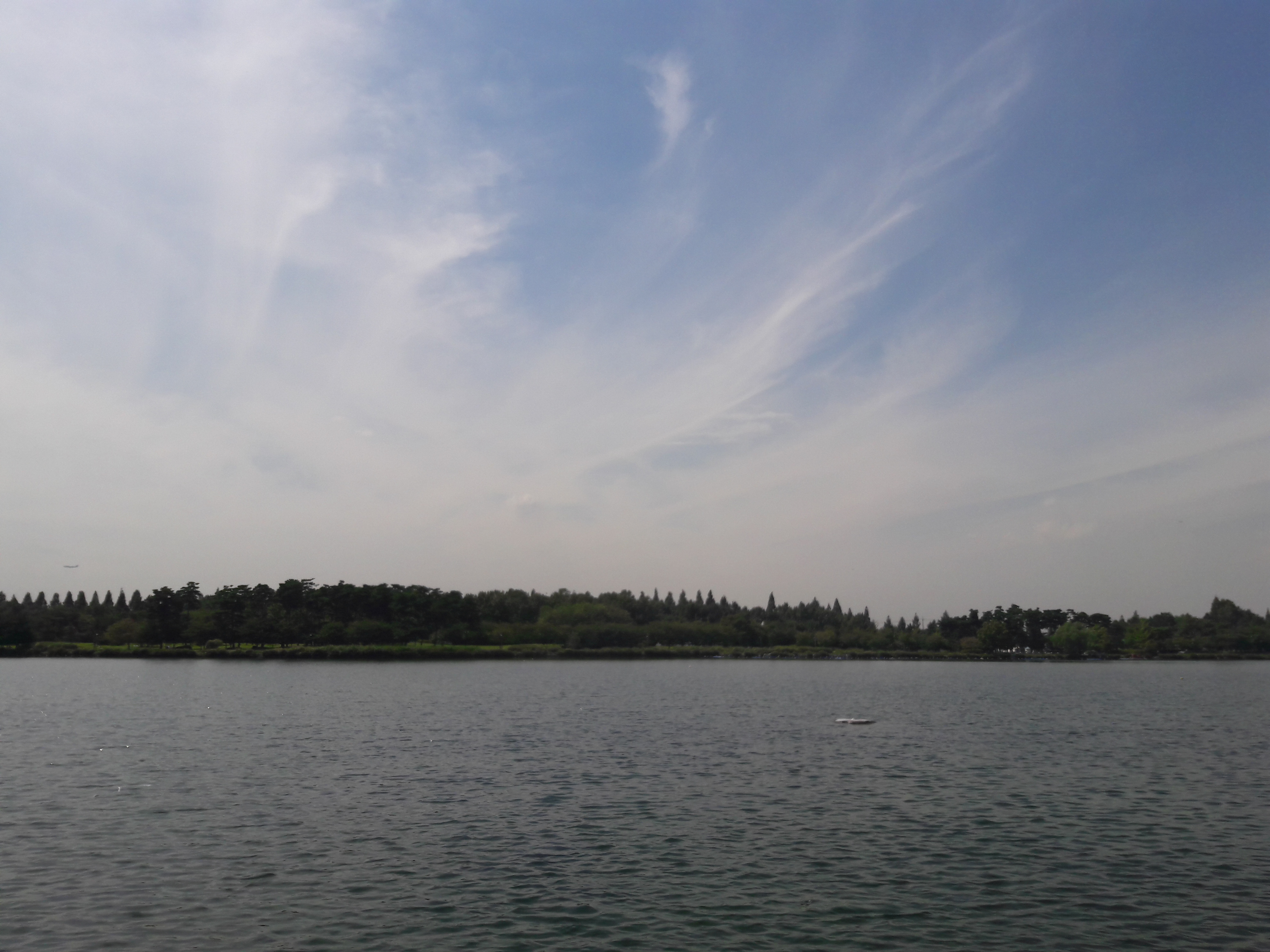 2017-09-04 12.49.23.jpg