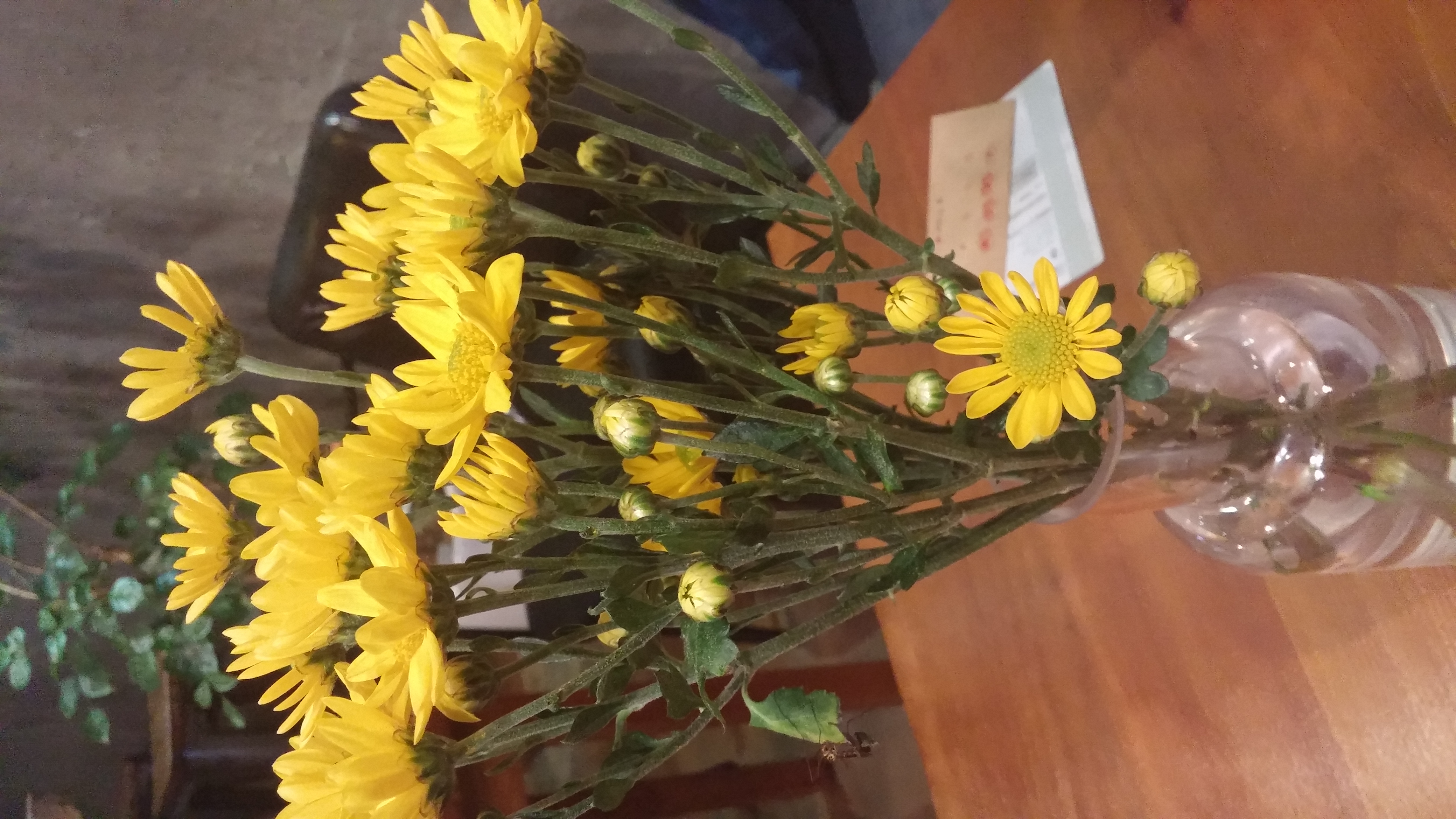 2018-05-16 12.44.24.jpg