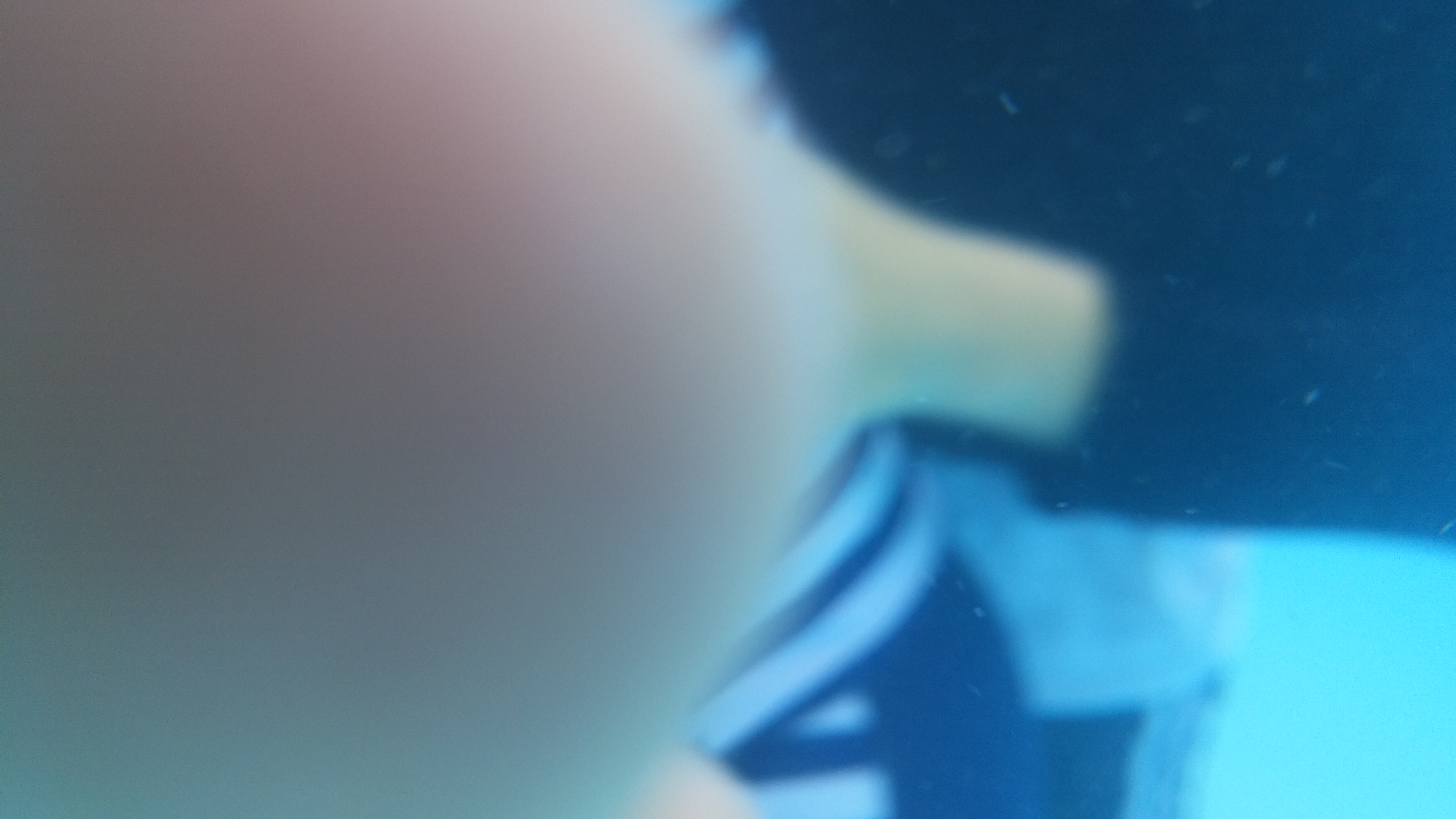 2018-08-06 17.31.43.jpg