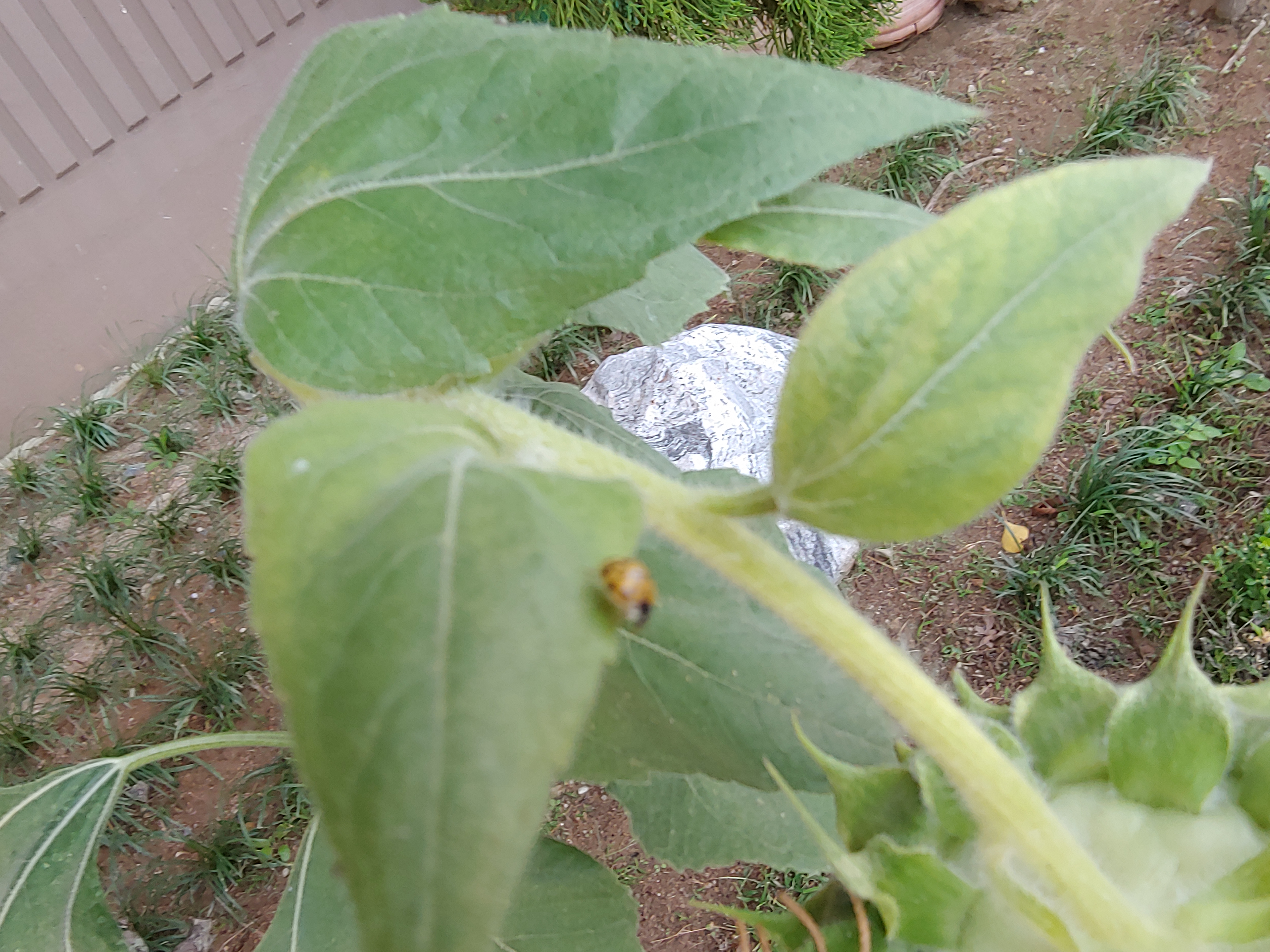 2018-10-07 13.59.01.jpg