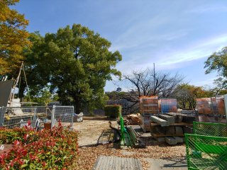 2018-11-01 11.43.03.jpg