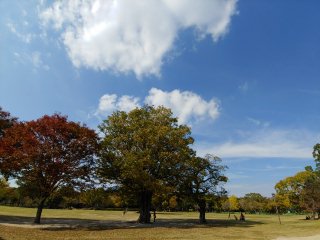2018-11-01 12.35.30.jpg