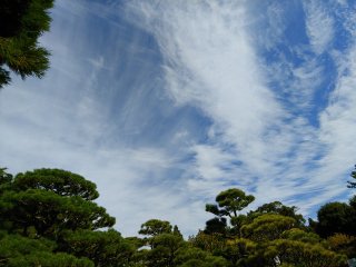 2018-11-02 11.33.31.jpg