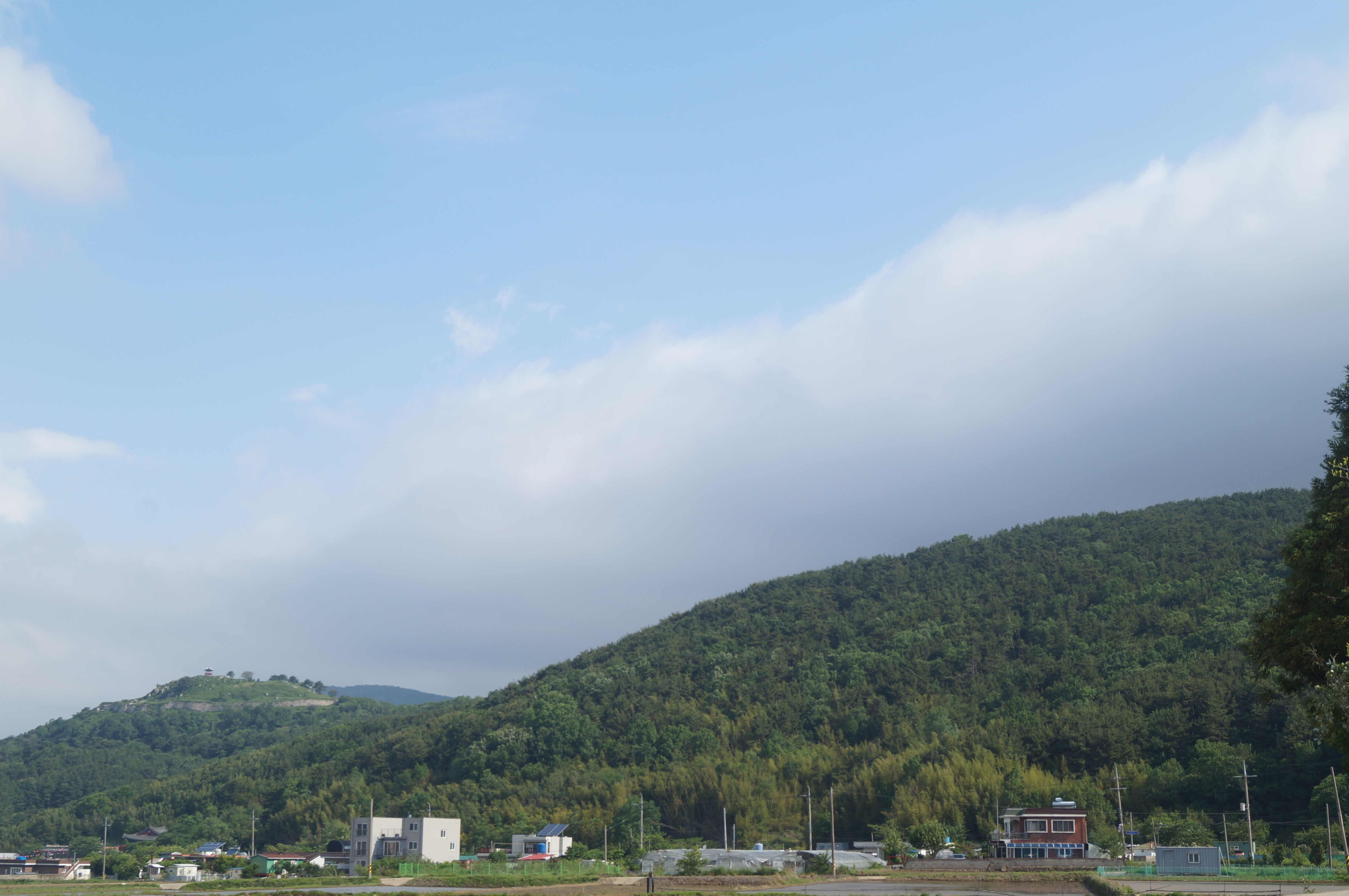 2018-05-21  08-46-23637.JPG