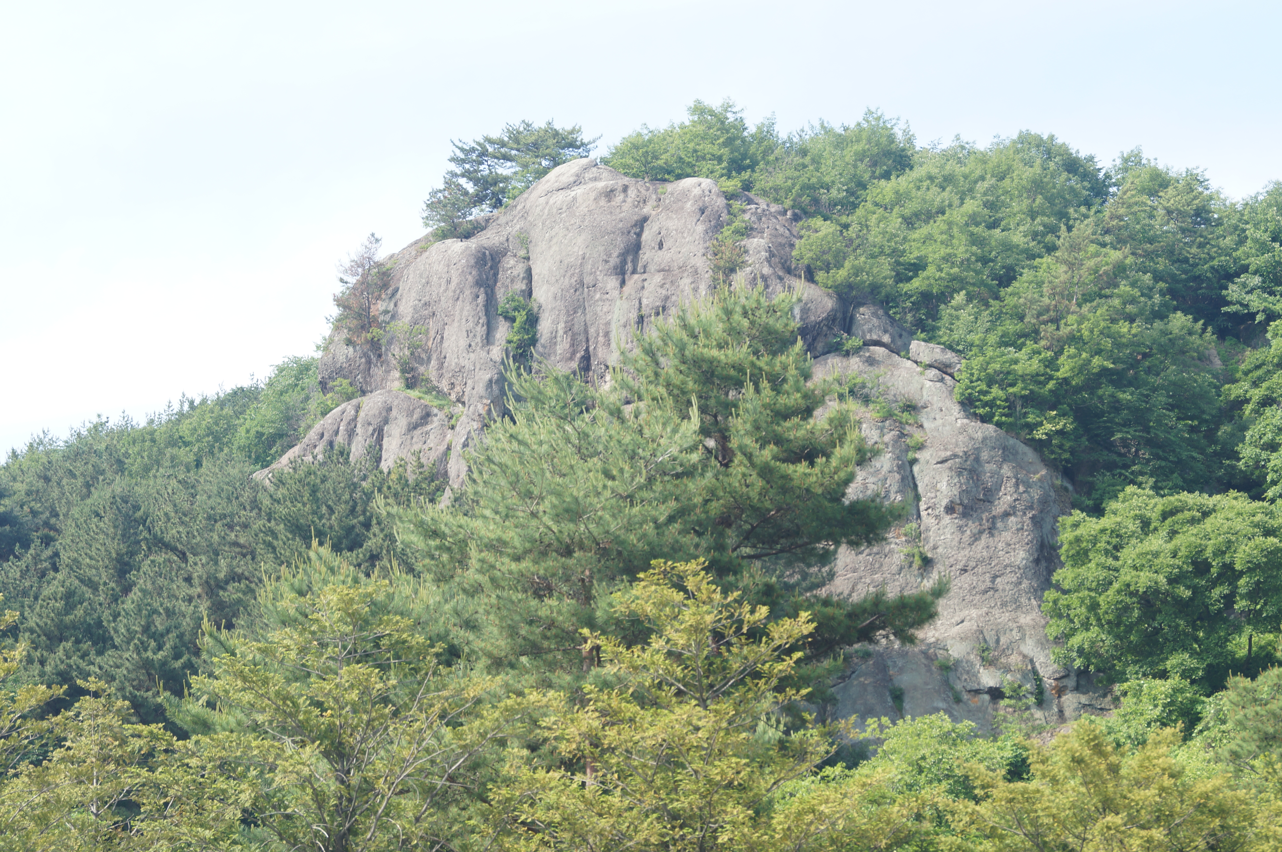 2018-05-21  15-38-07445.JPG