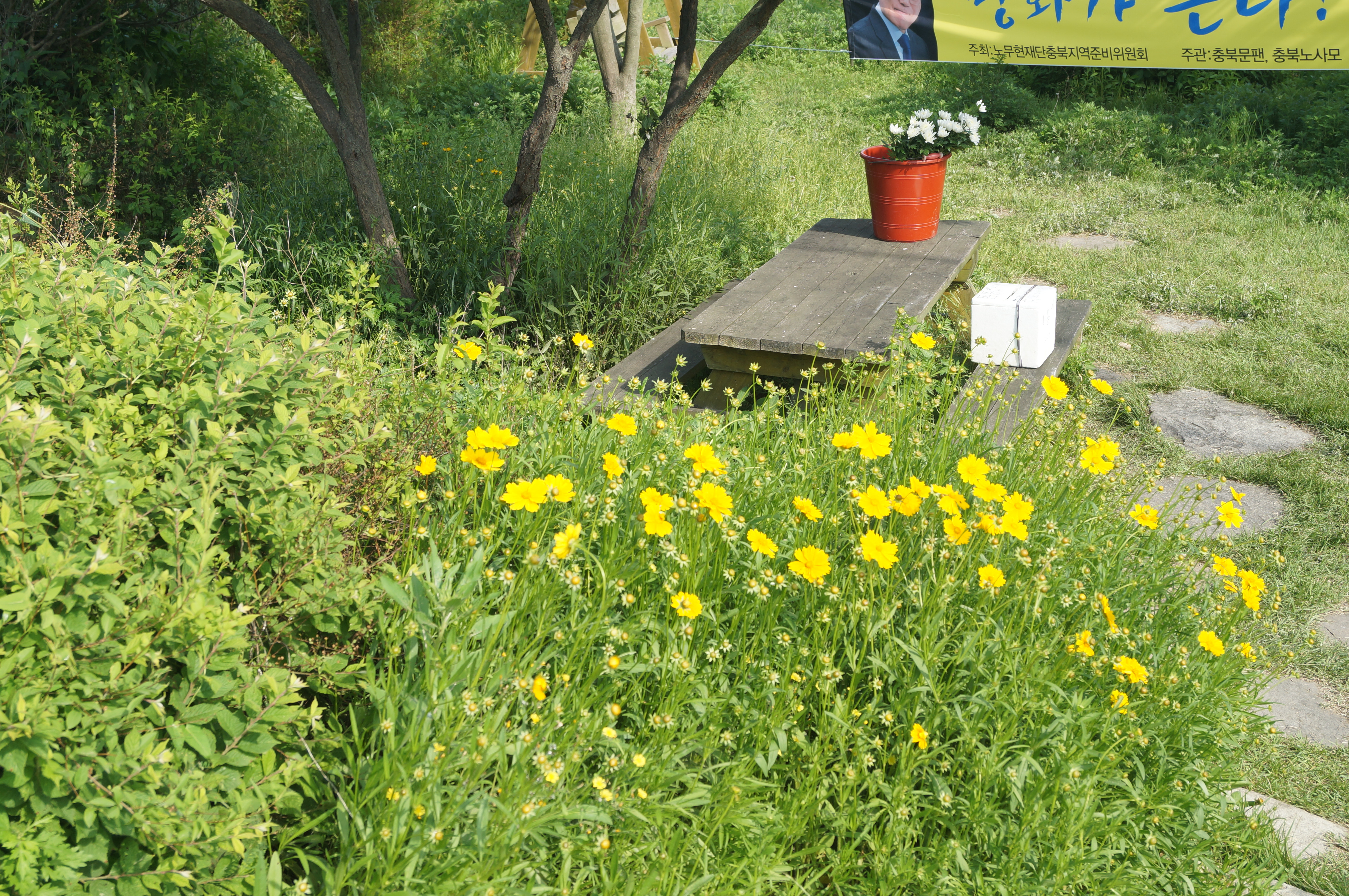 2018-05-21  16-11-35450.JPG