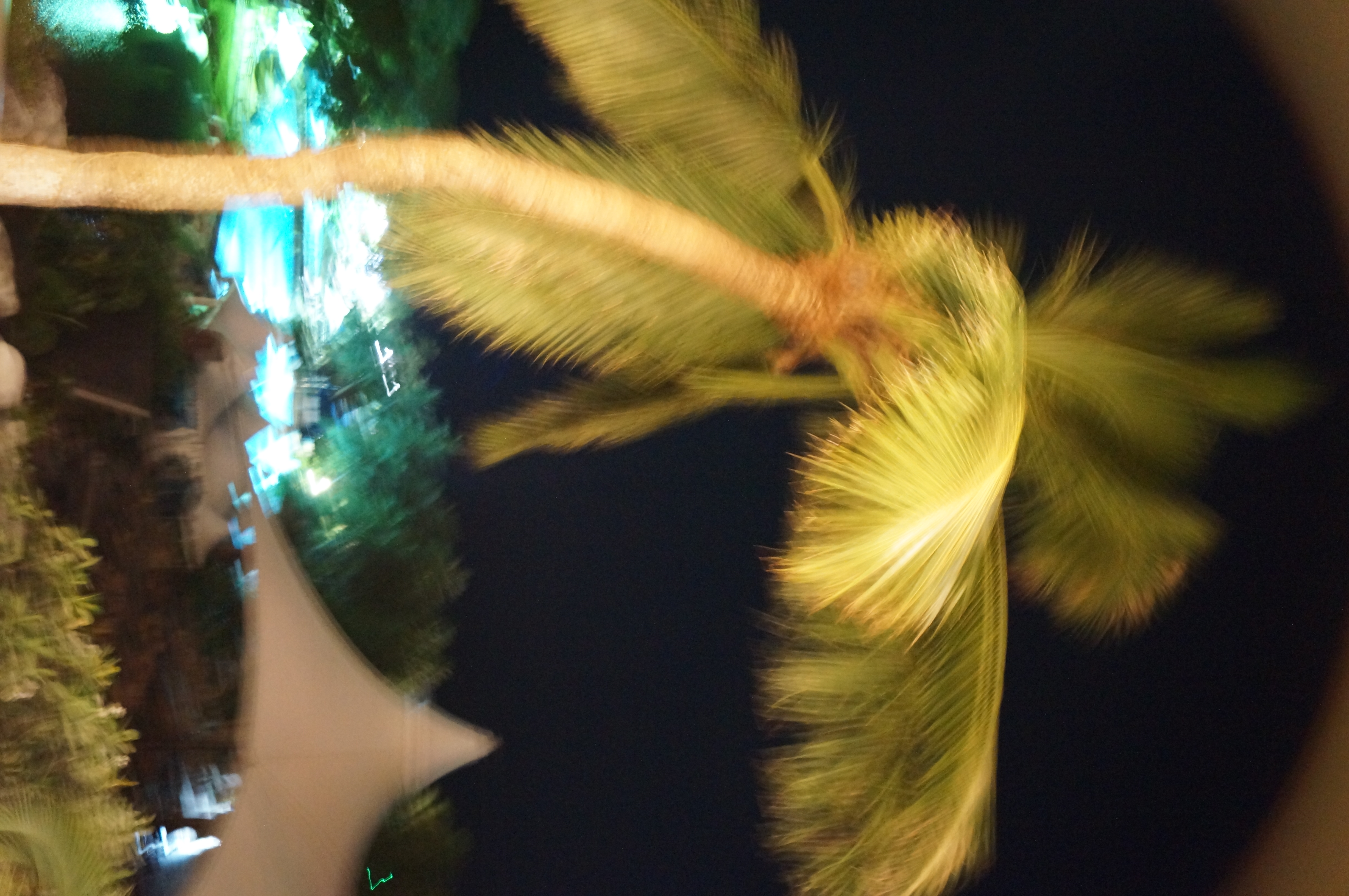 DSC04806.JPG