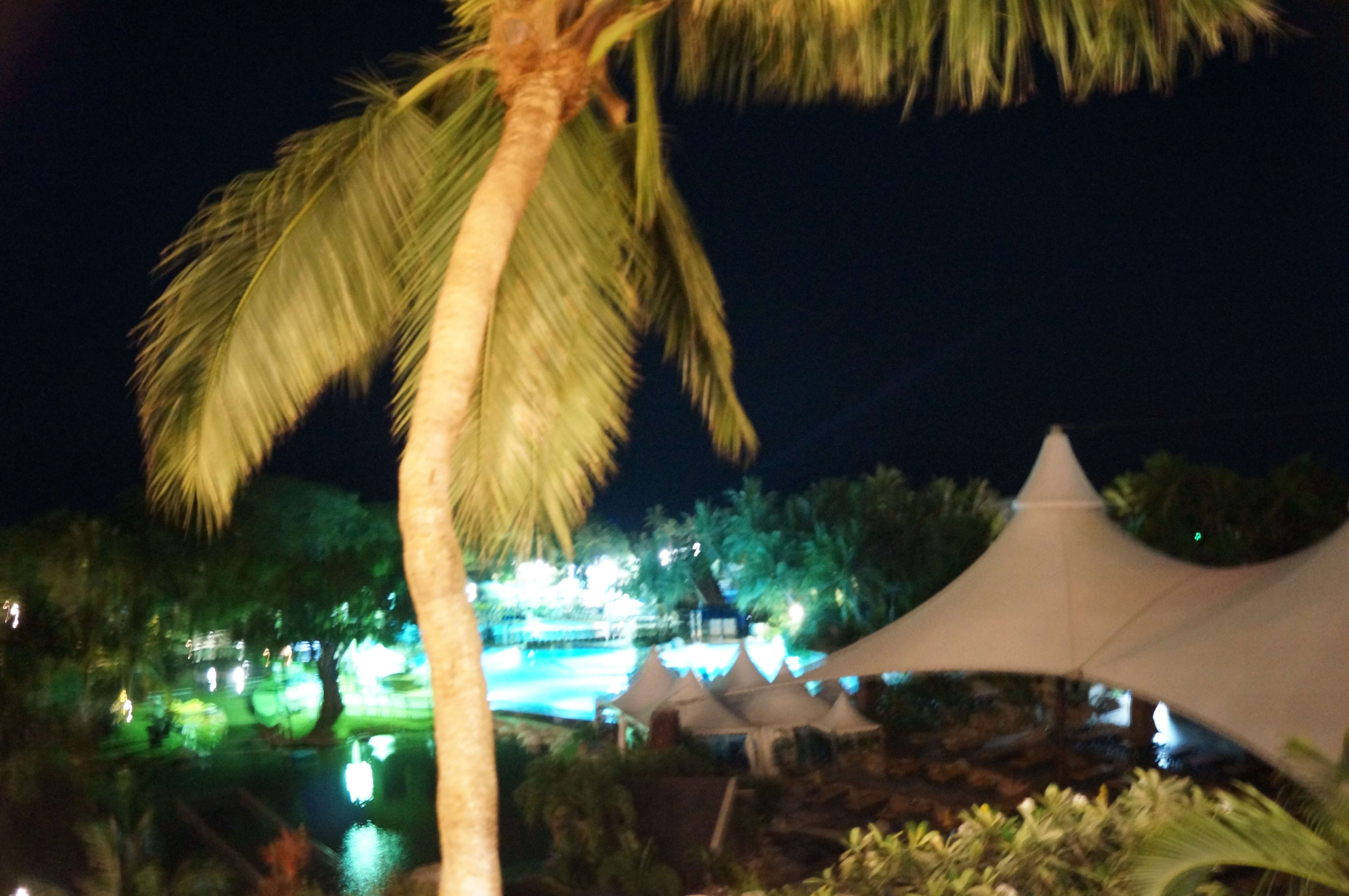 DSC04808.JPG