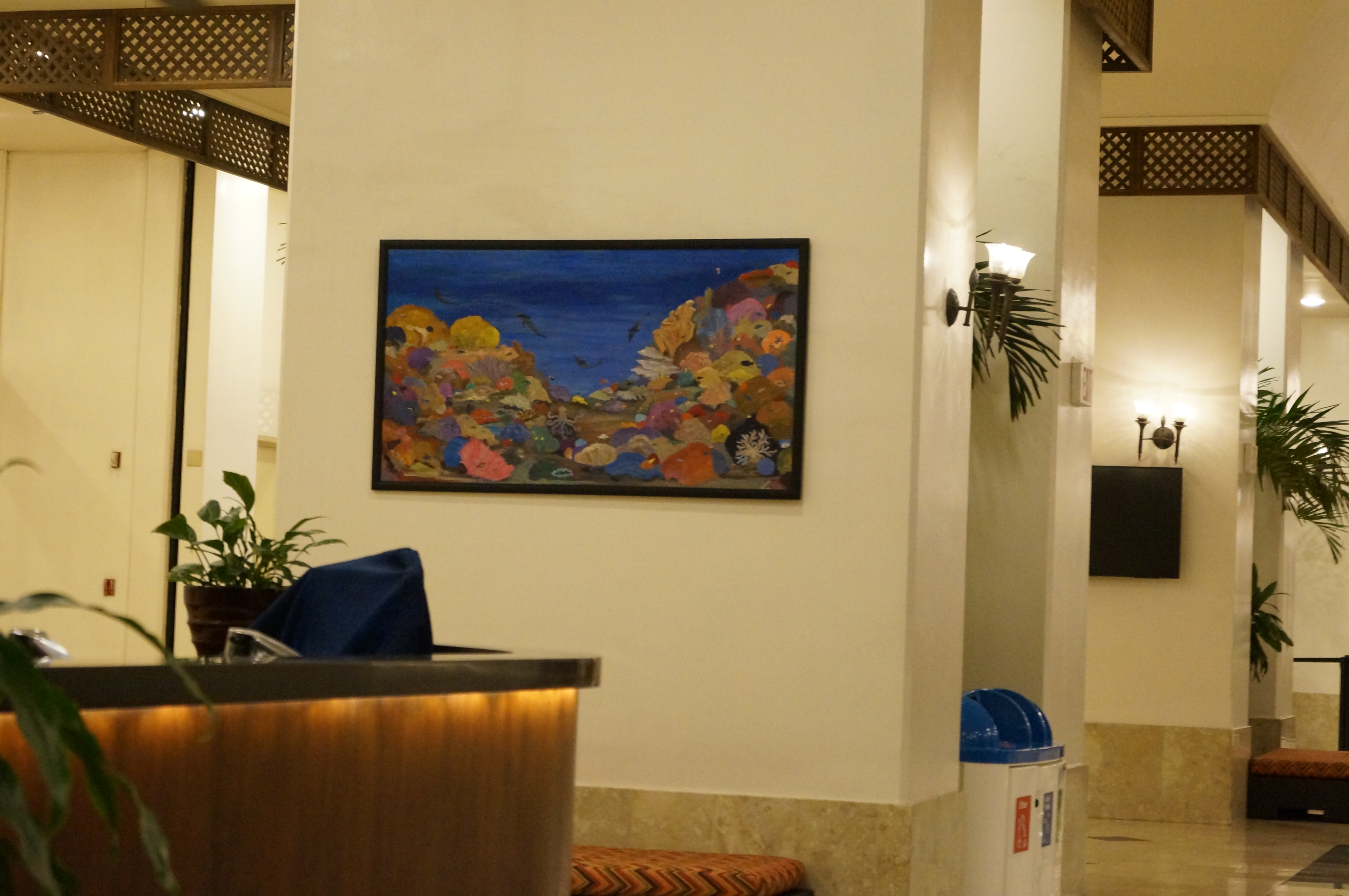 DSC04816.JPG
